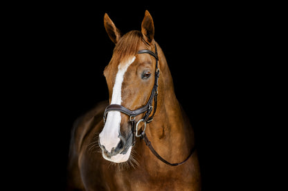 Horseware Micklem Deluxe Competition