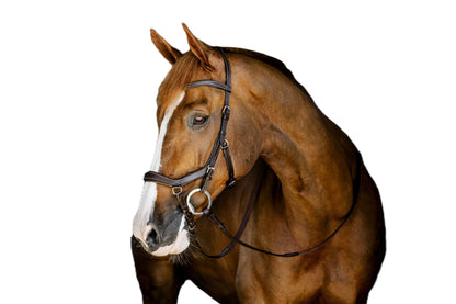 Horseware Micklem Deluxe Competition