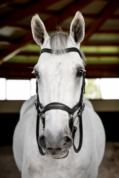 Horseware Micklem Deluxe Competition