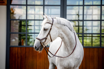 Horseware Micklem Deluxe Competition