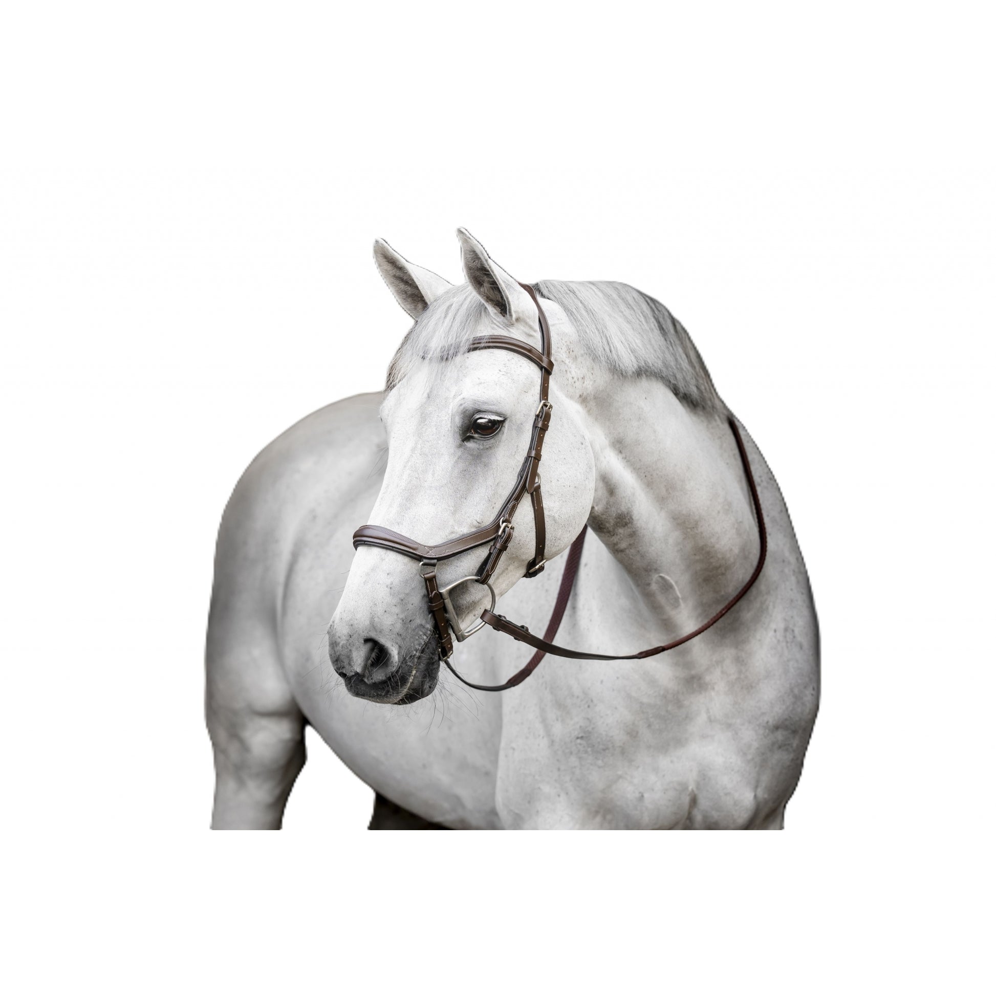 Horseware Micklem Deluxe Competition