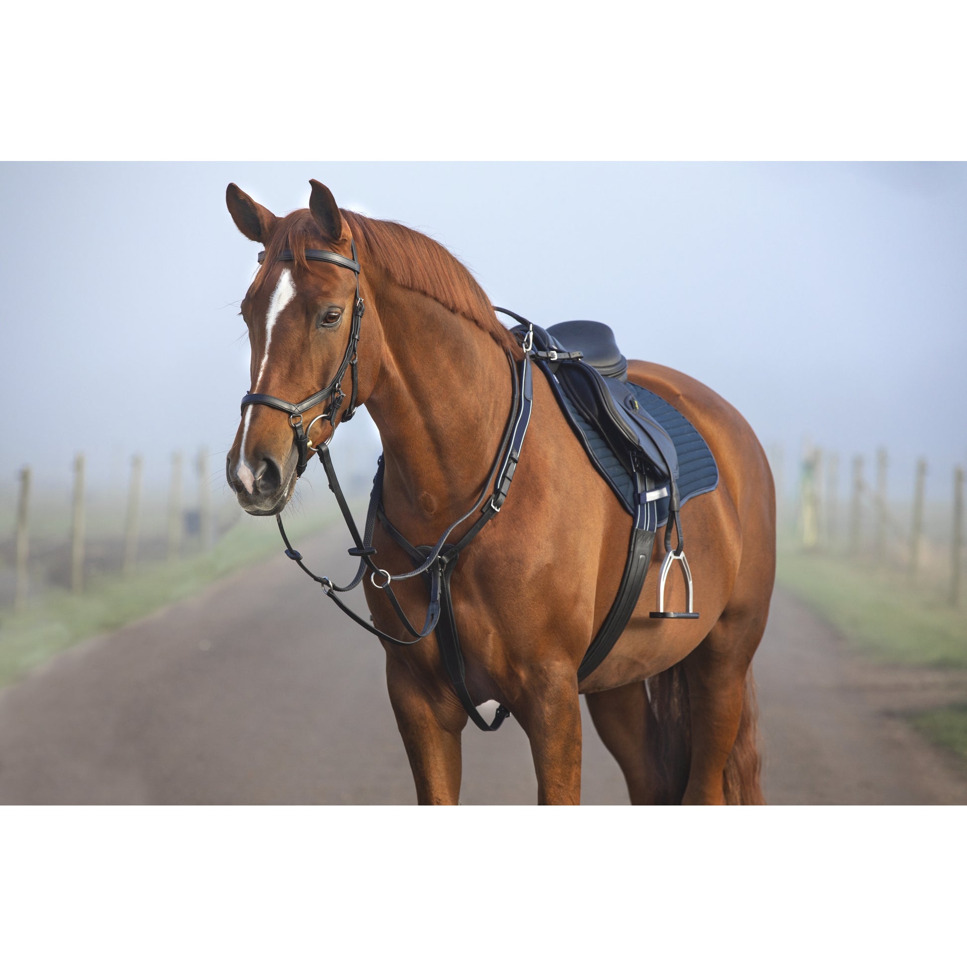 Horseware Micklem Breastplate Martin