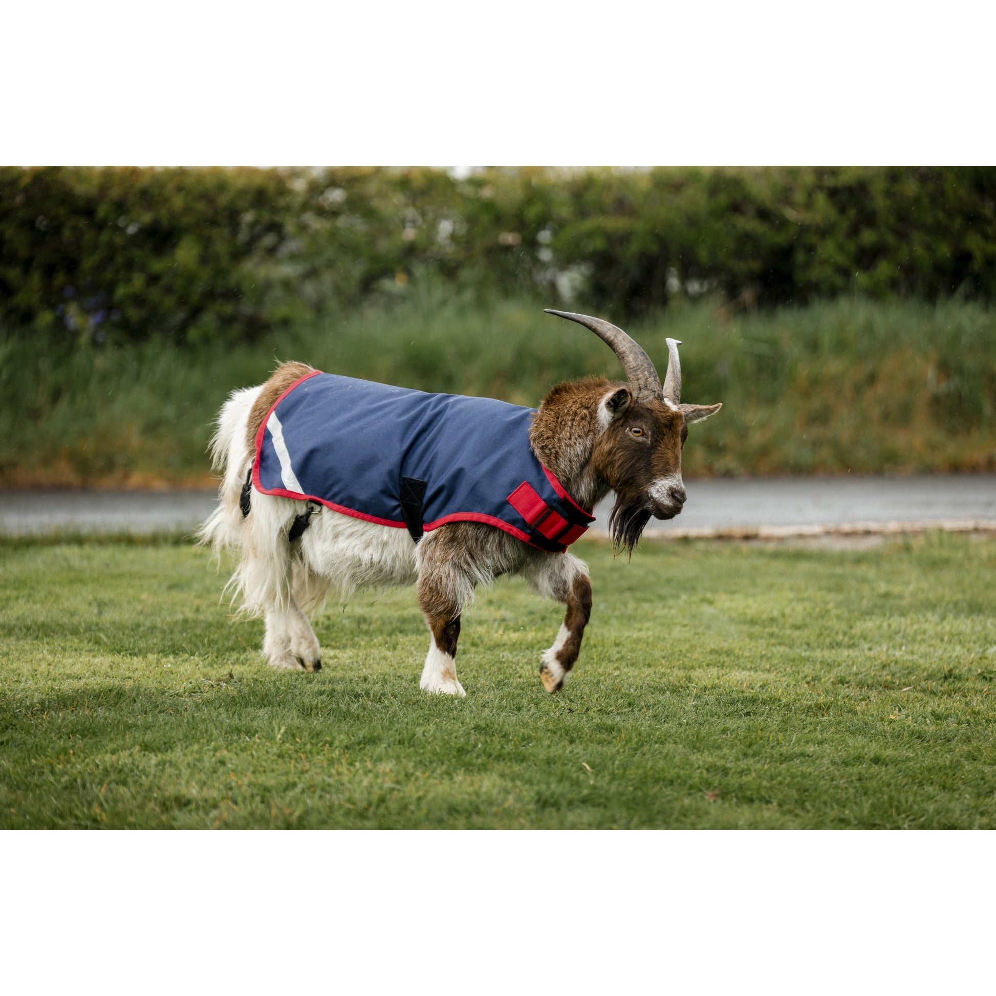 Horseware Goat Coat 0g