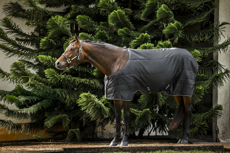 Amigo Quarter Horse Stable 100g
