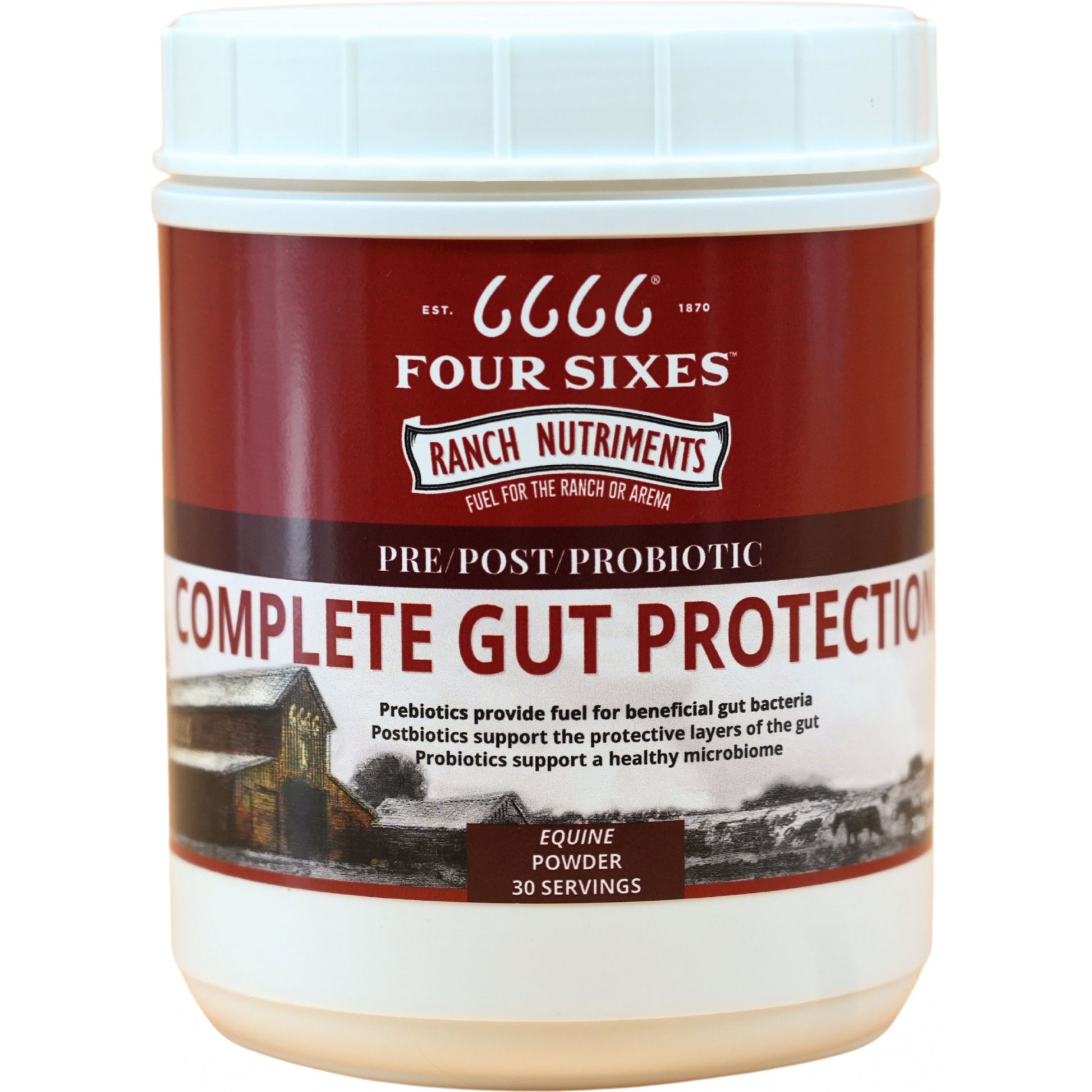 6666 Complete Gut Protection Powder