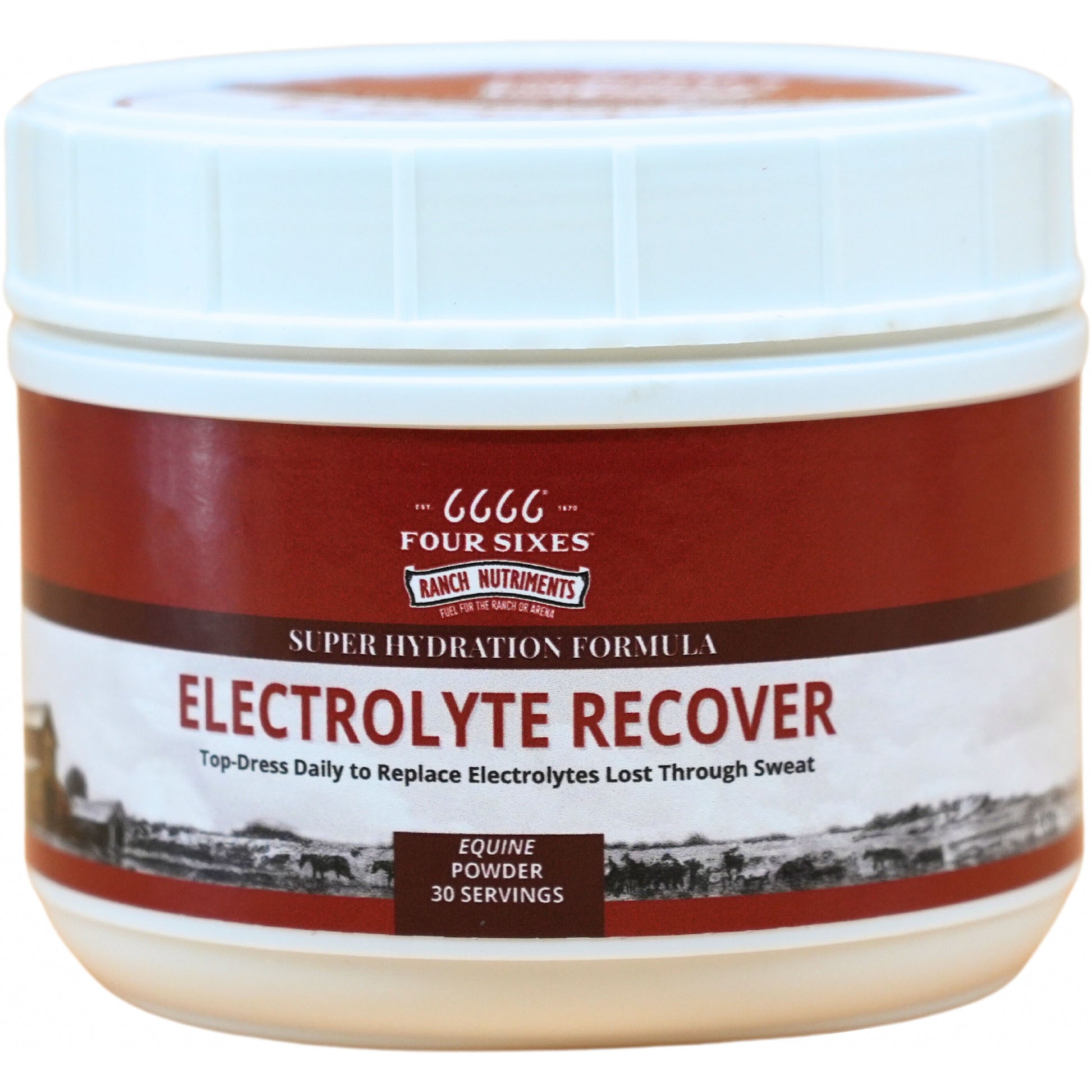 6666 Electrolyte Recover Powder