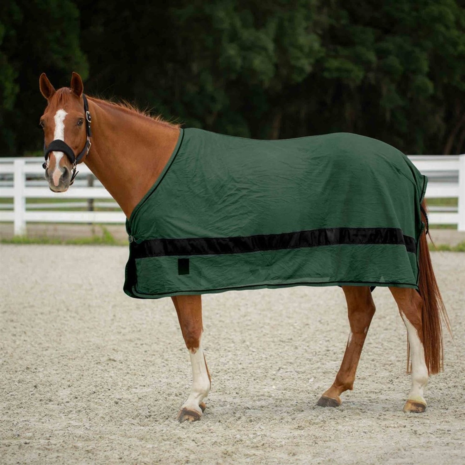 Equinavia Sol Ringside Scrim Sheet