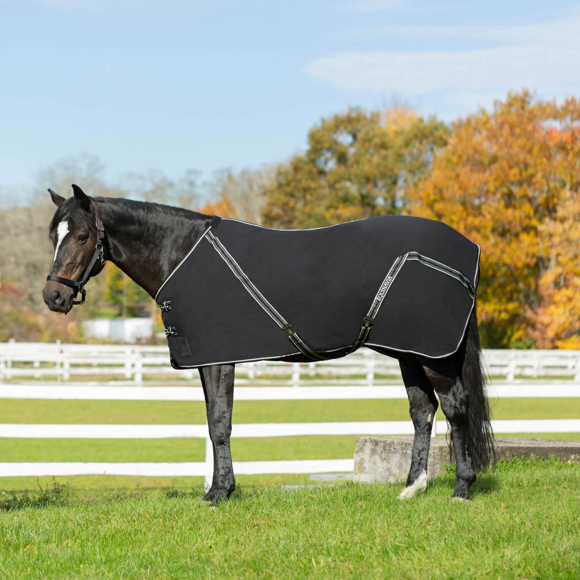 Equinavia Fryd Cotton Stable Sheet