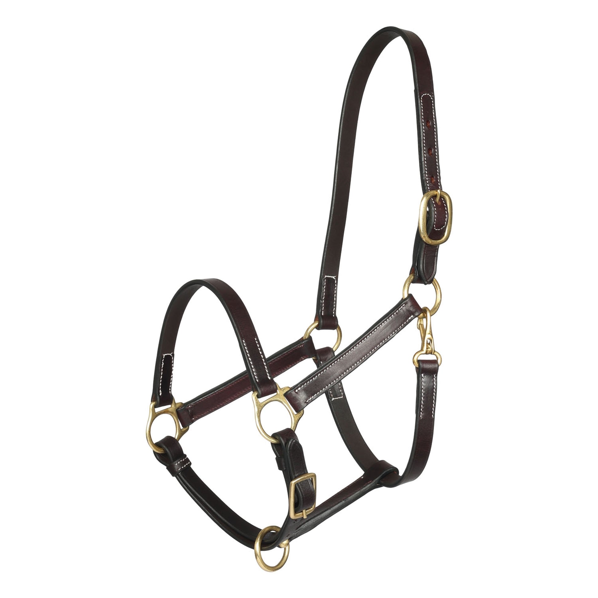 Henri de Rivel Pre Oiled Leather Halter with White Stitching and Brass Snap