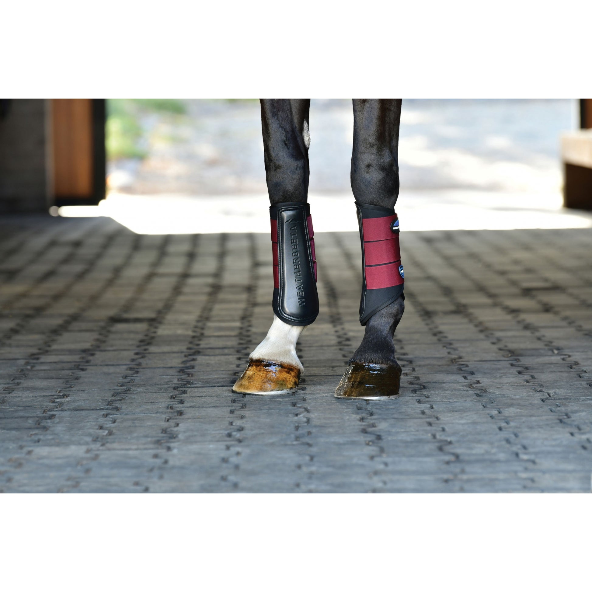 Weatherbeeta Tough-Tec Prime Brushing Boots