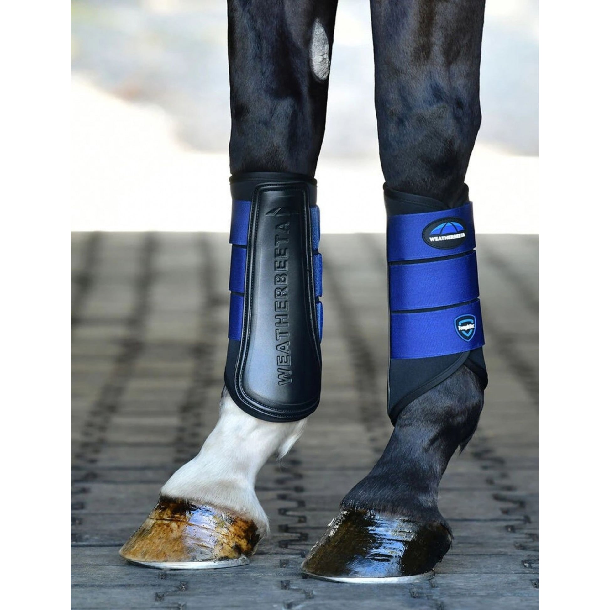 Weatherbeeta Tough-Tec Prime Brushing Boots