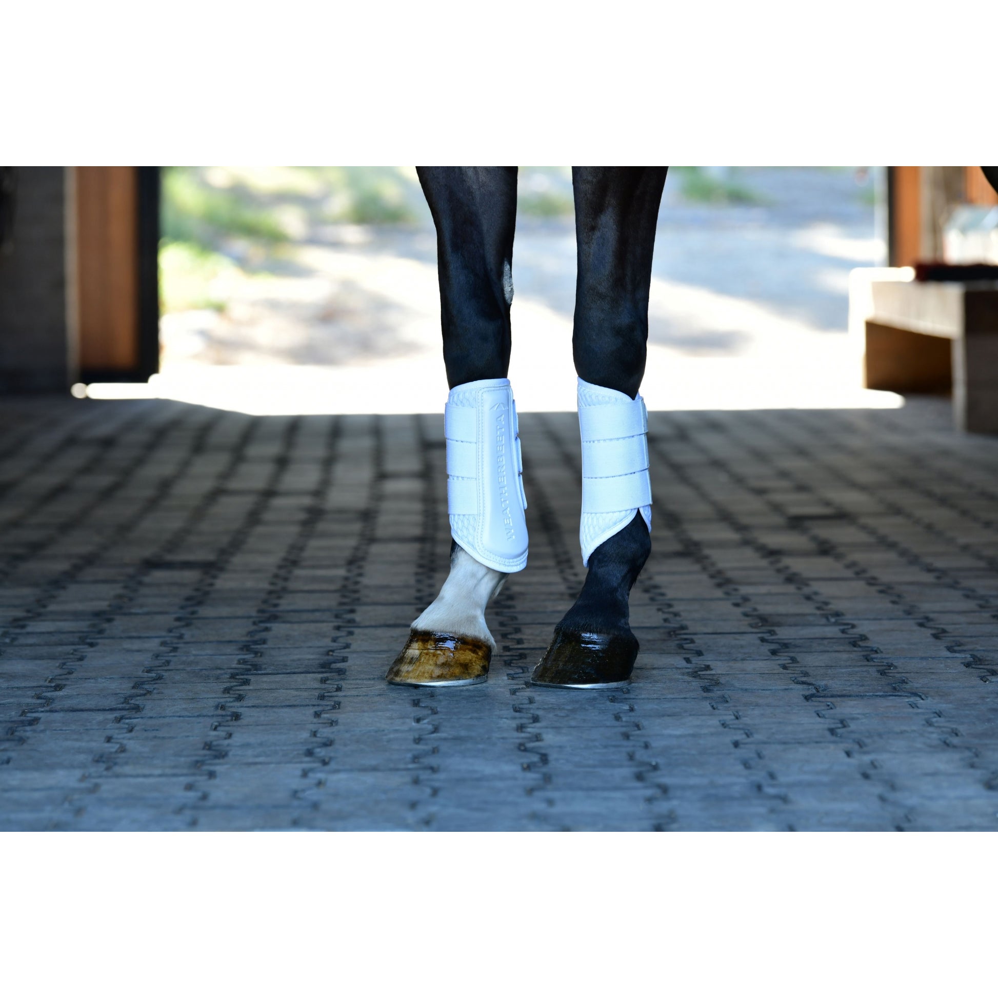 Weatherbeeta Tough-Tec Mesh Brushing Boots