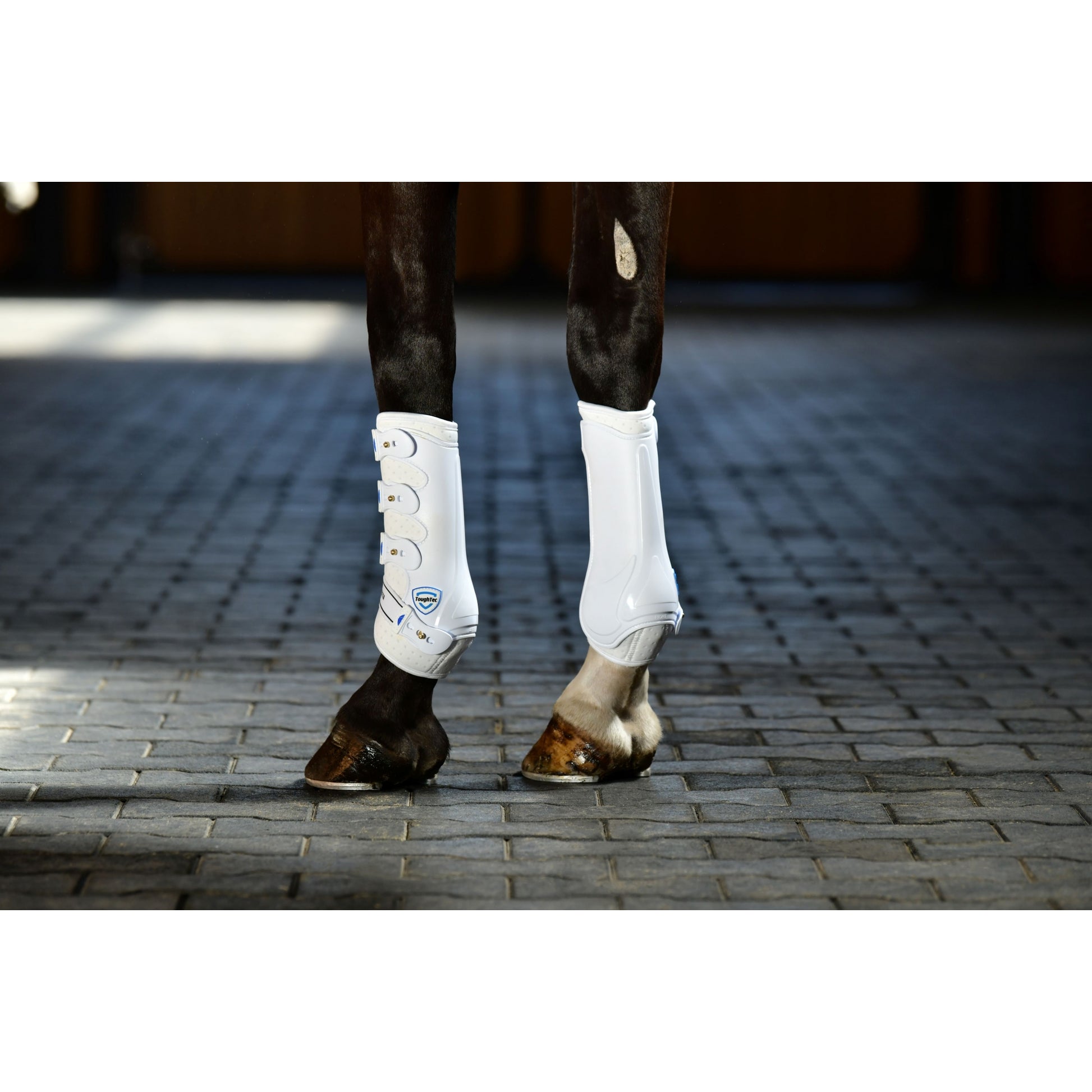 Weatherbeeta Tough-Tec Hard Shell Dressage Boots