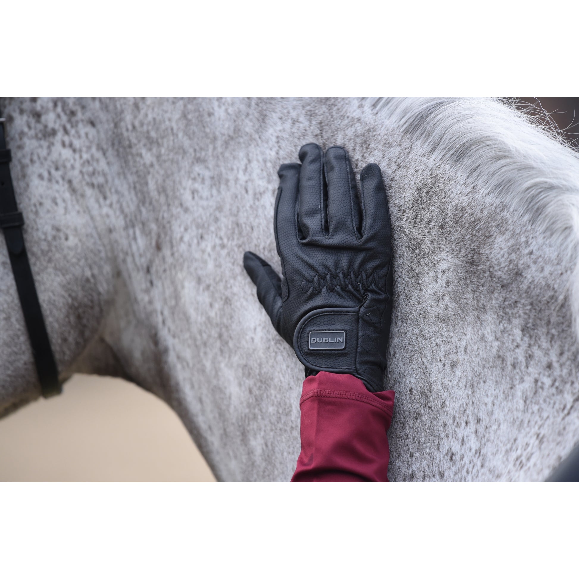 Dublin Everyday Riding Gloves