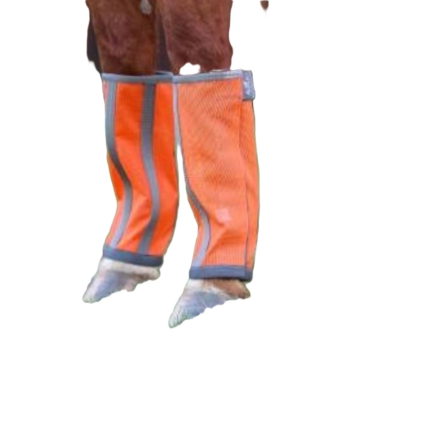 4-492733-01.jpg