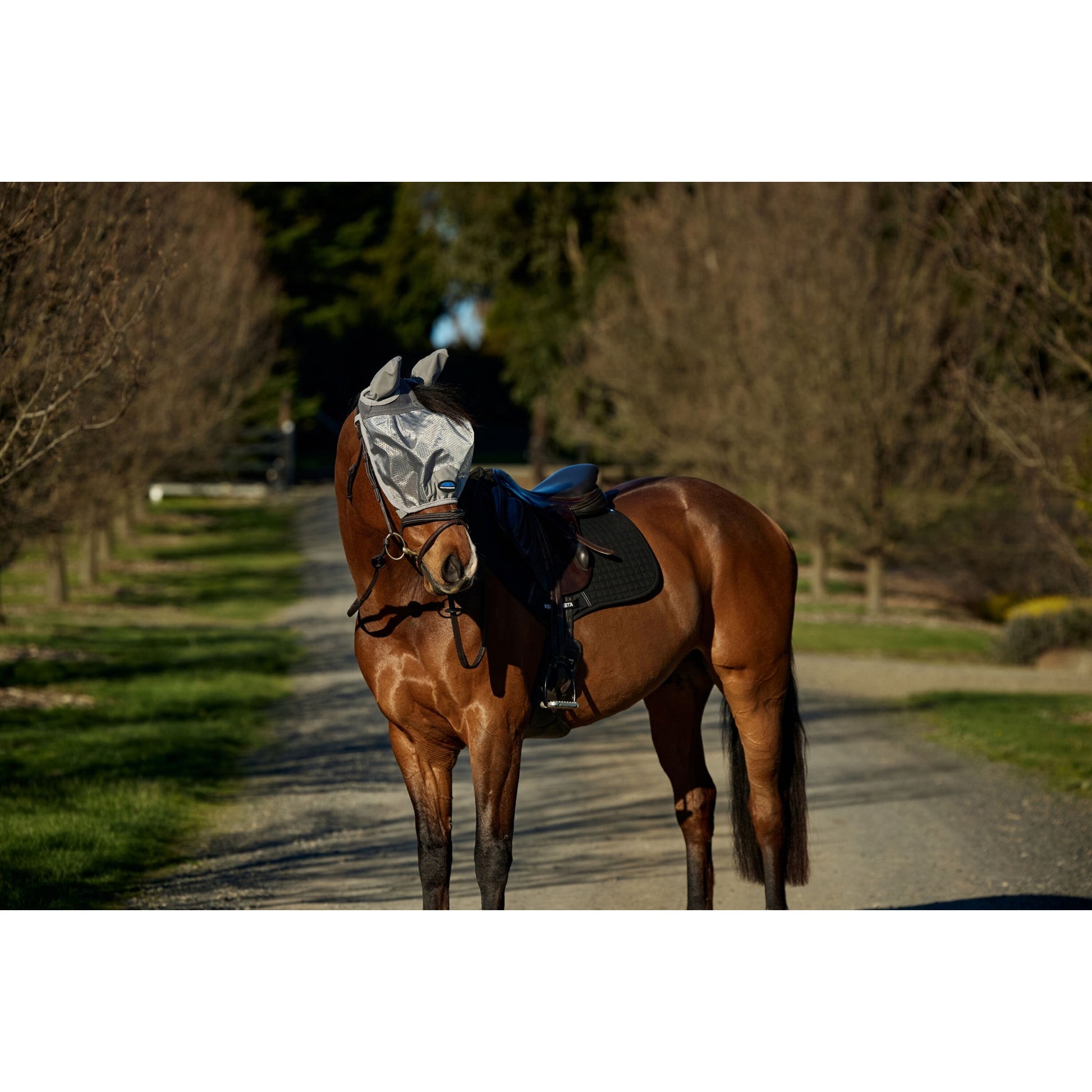 Weatherbeeta ComFiTec Hexi Shield Ride On Fly Mask