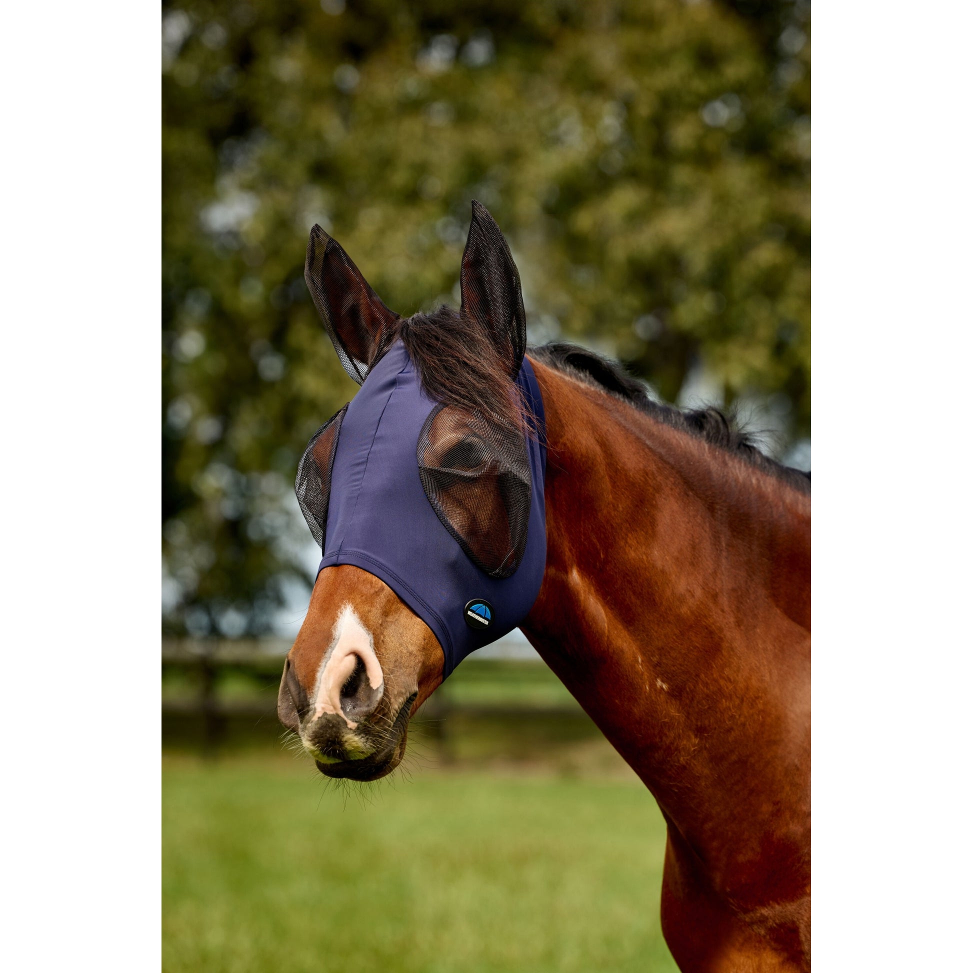 Weatherbeeta ComFiTec Deluxe Stretch Fly Mask with Ears