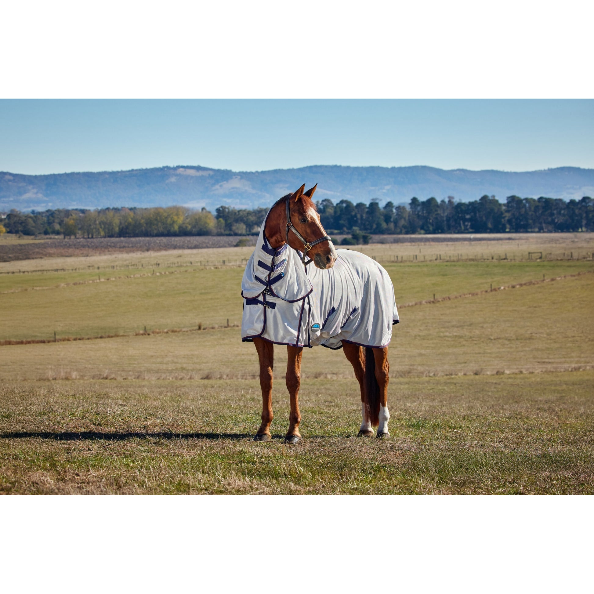 Weatherbeeta ComFiTec Airflow Fly Sheet Combo Neck