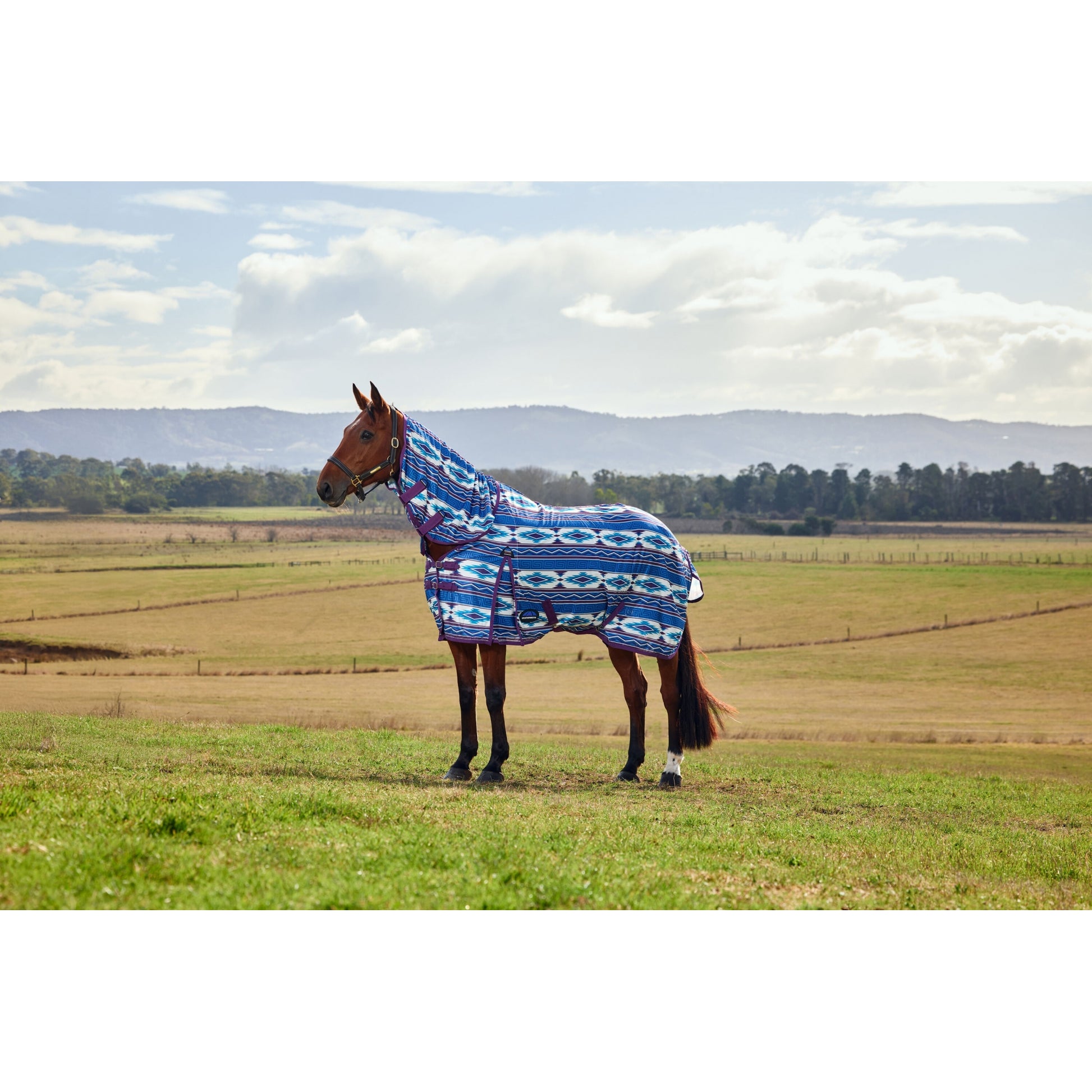 WeatherBeeta ComFiTec Essential Combo Neck Fly Sheet