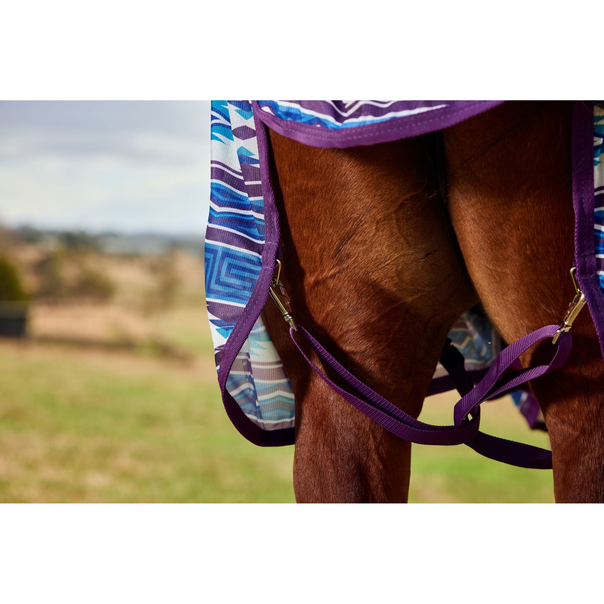 WeatherBeeta ComFiTec Essential Combo Neck Fly Sheet
