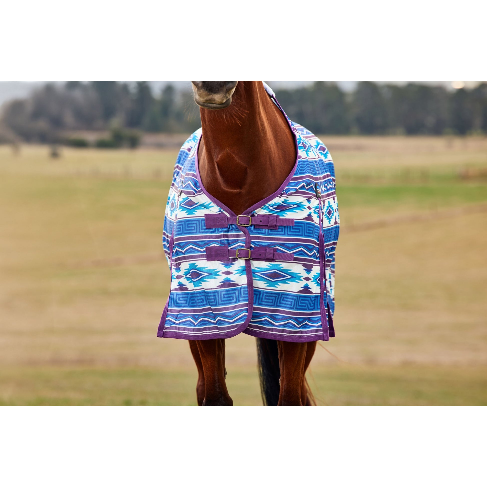 Weatherbeeta ComFiTec Essential Fly Sheet