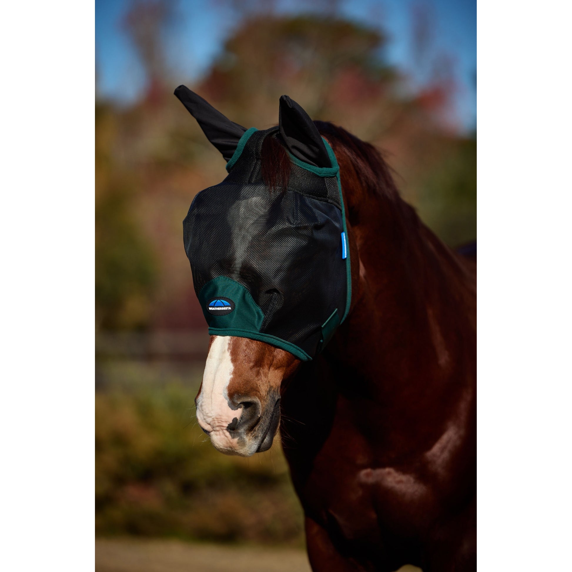 Weatherbeeta ComFiTec Durable Mesh Fly Mask with Ears
