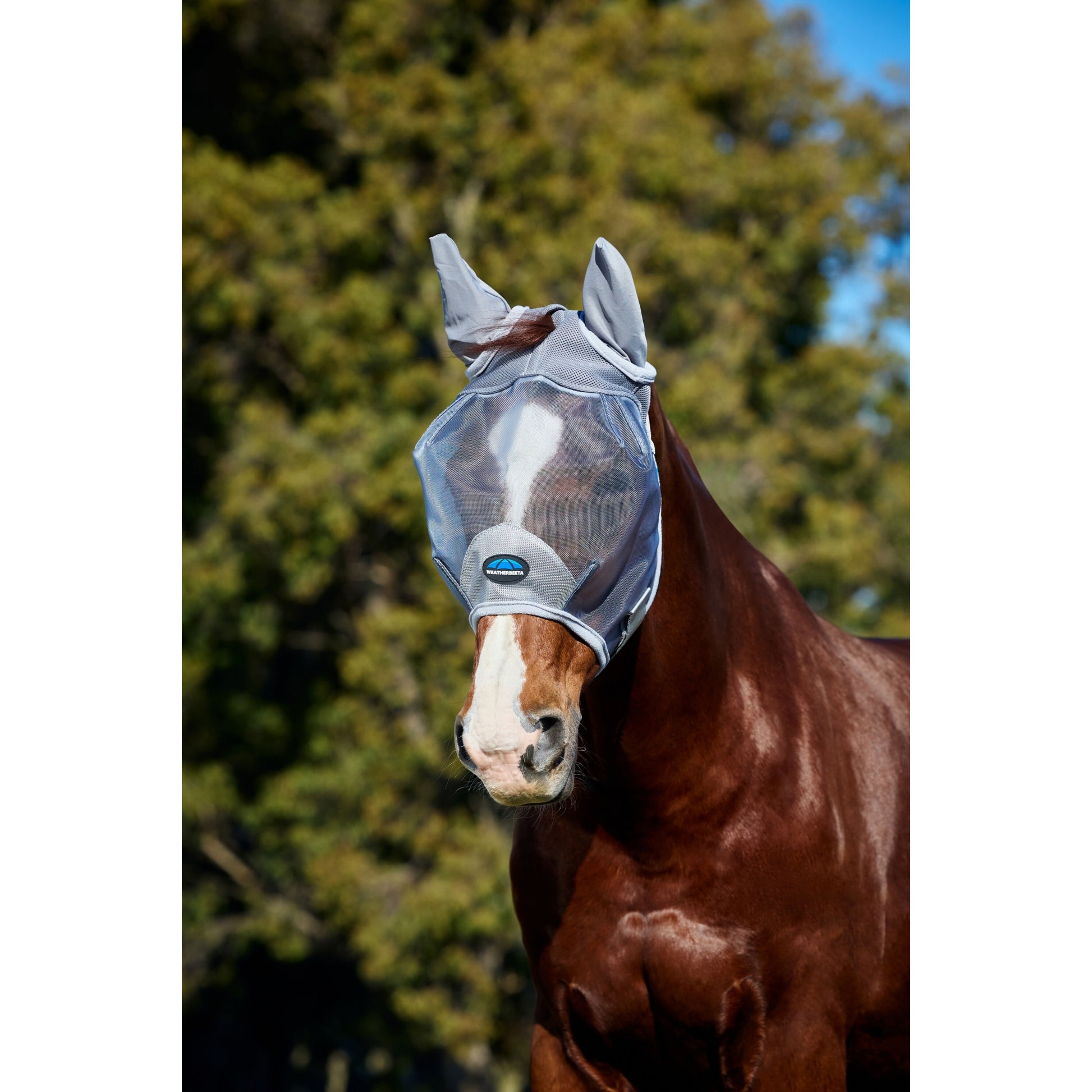 Weatherbeeta ComFiTec Fine Mesh Fly Mask with Ears
