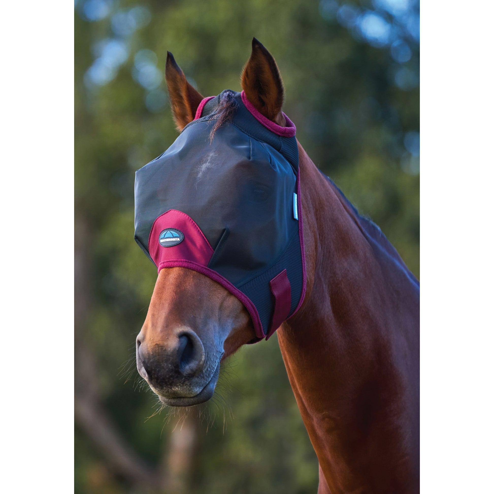 Weatherbeeta ComFiTec Fine Mesh Fly Mask