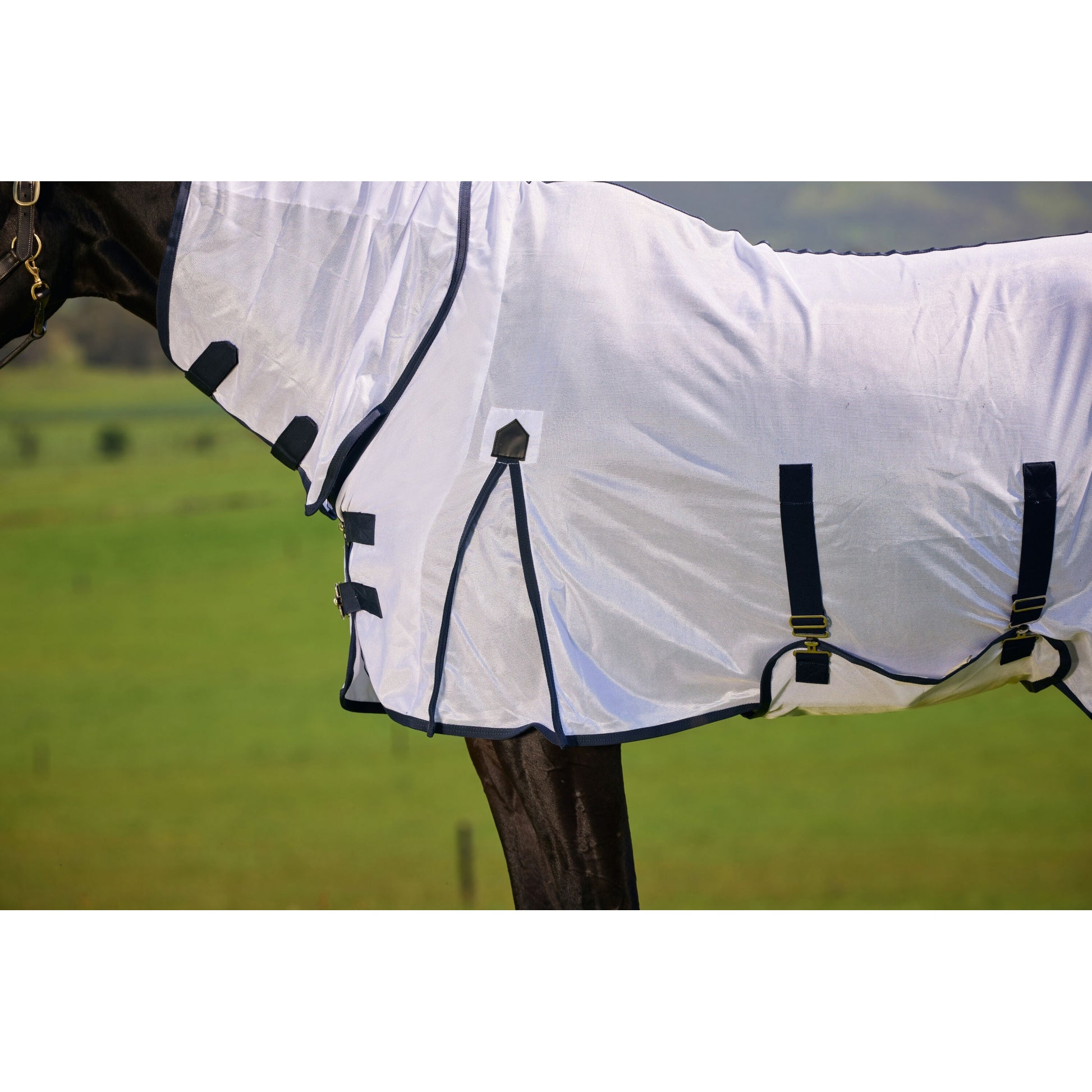 Saxon Mesh Combo Neck Fly Sheet