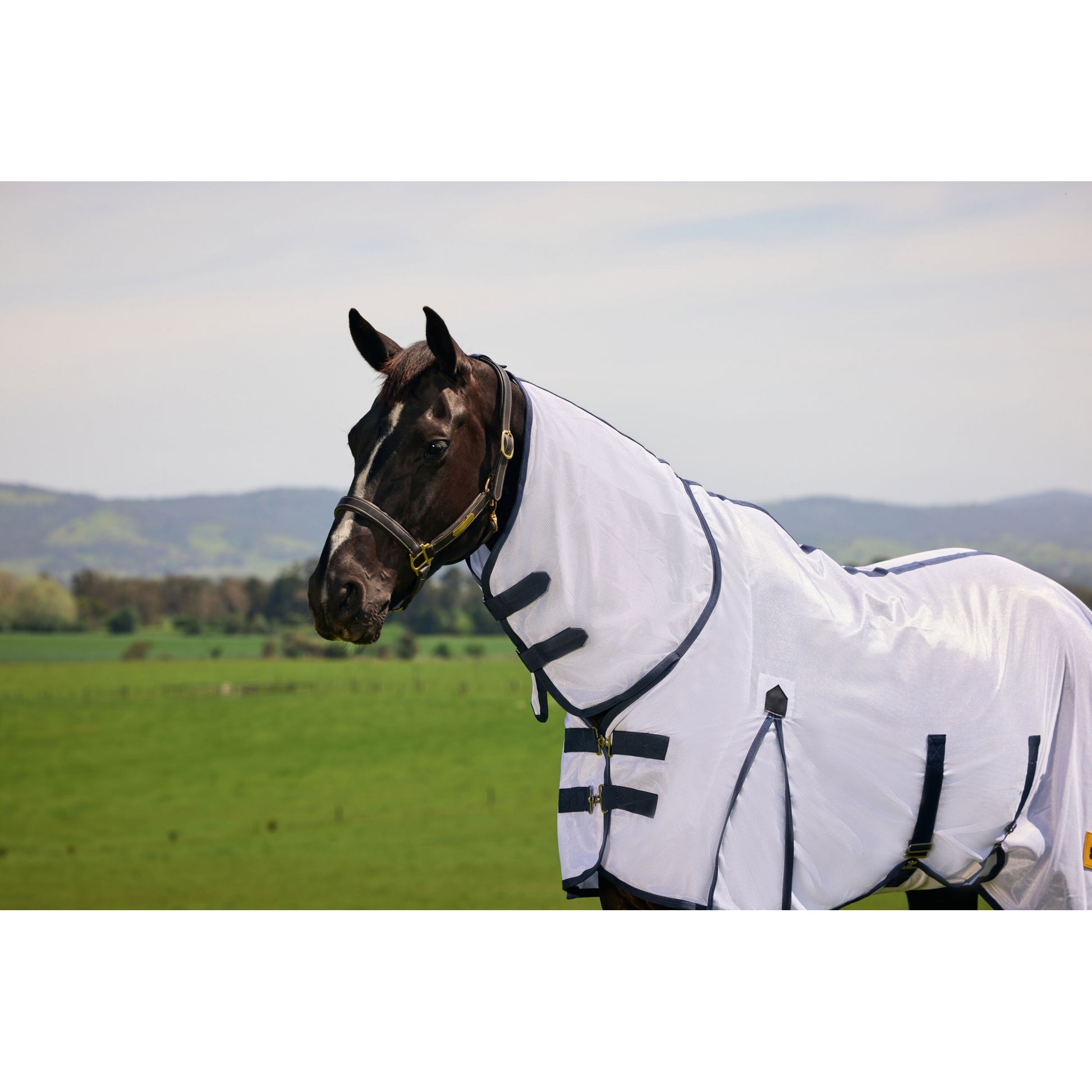 Saxon Mesh Combo Neck Fly Sheet