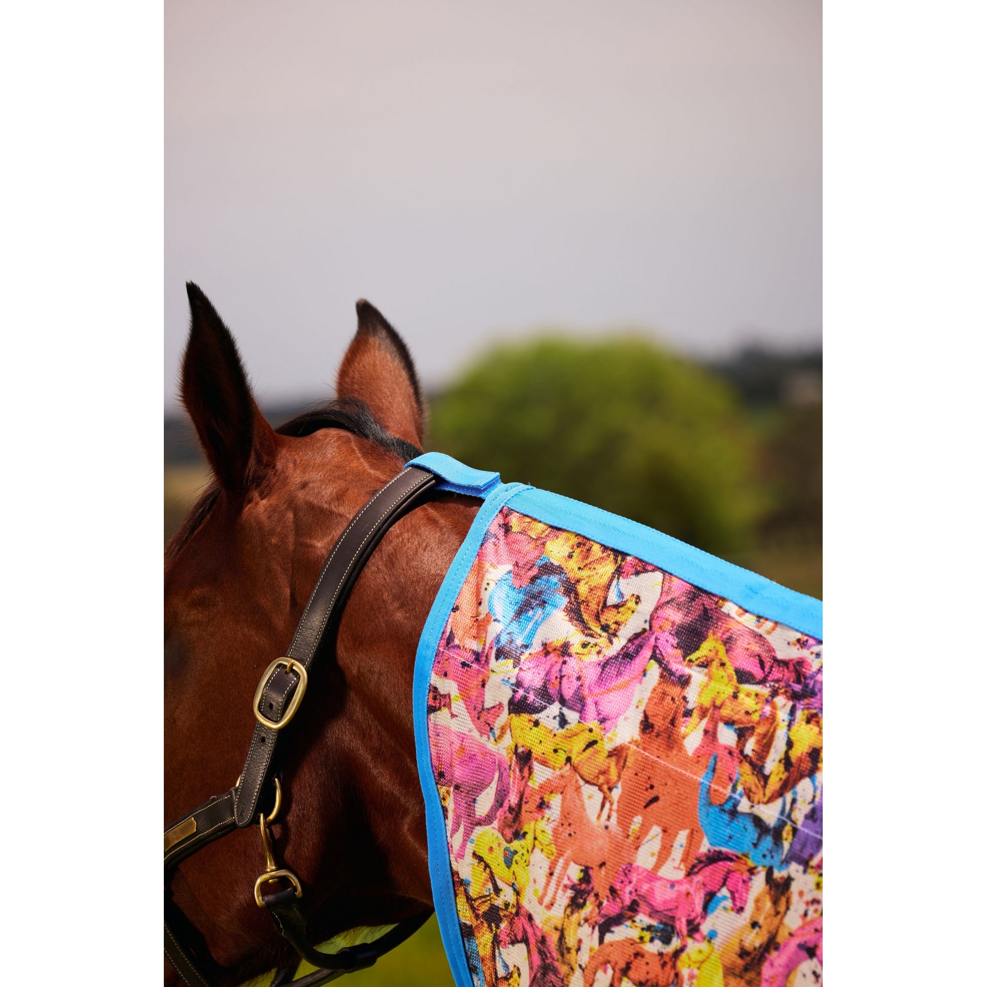 Saxon Mesh Combo Neck Fly Sheet