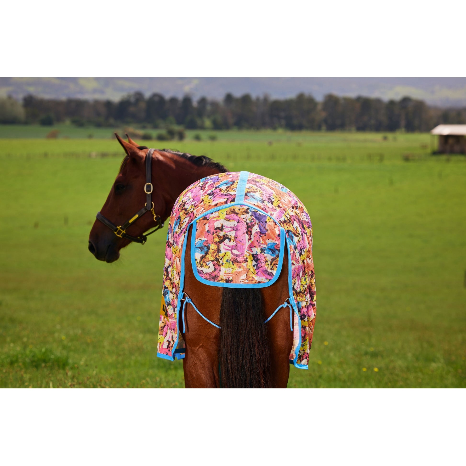 Saxon Mesh Fly Sheet Standard Neck