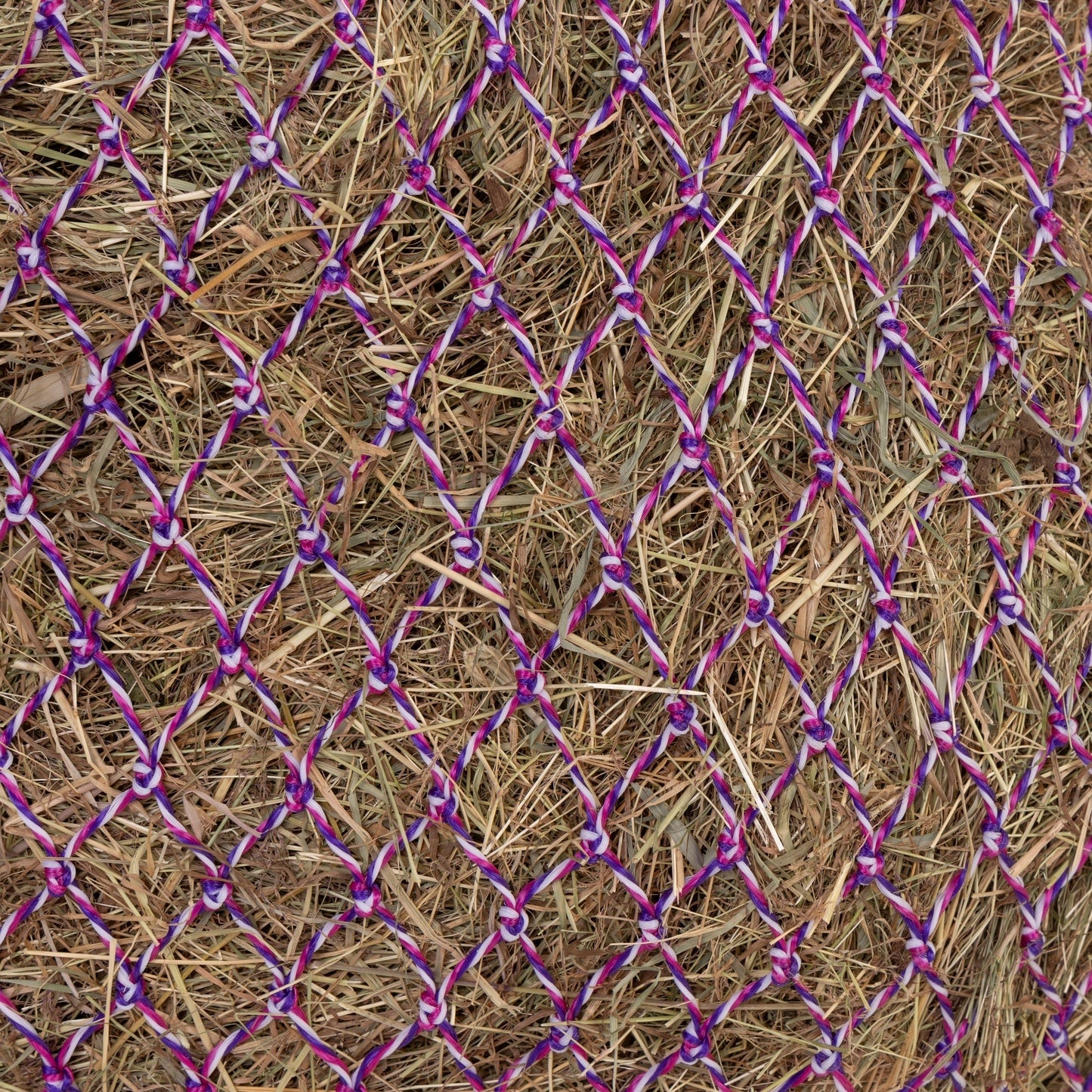 4-498279-2.jpg