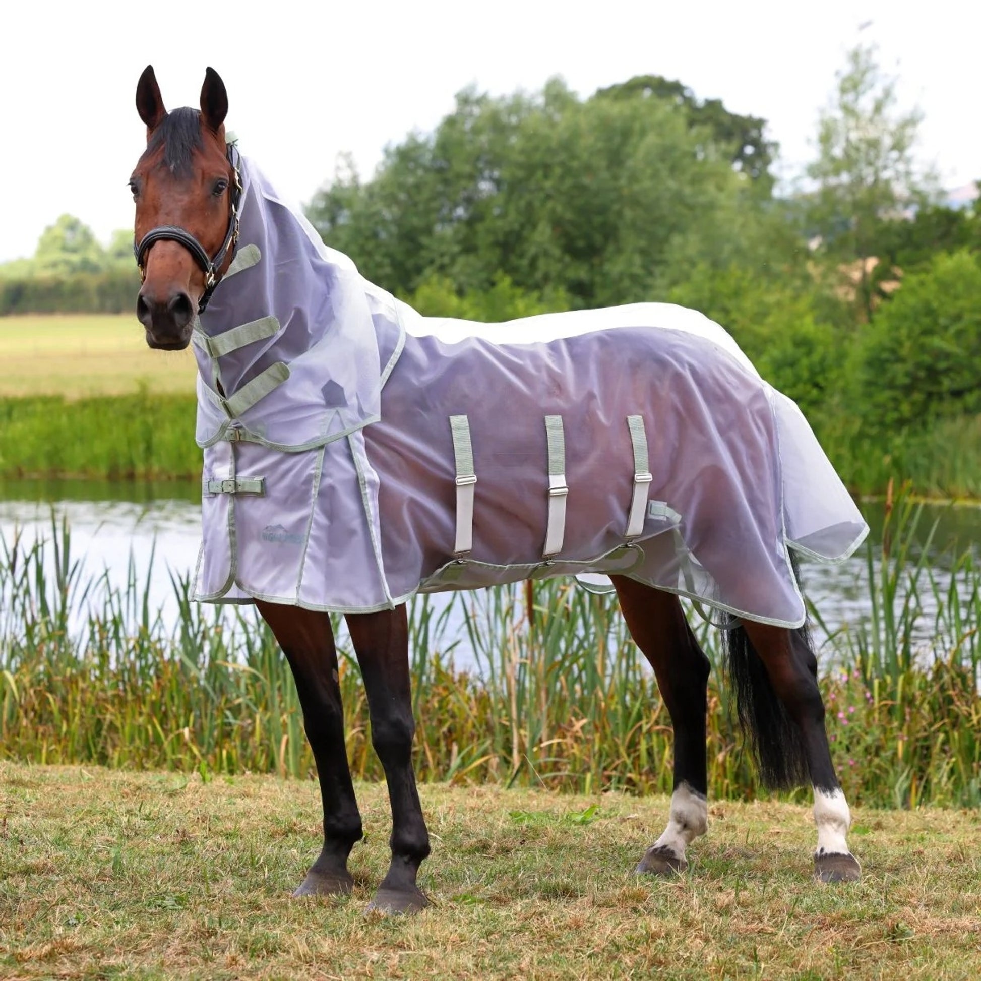 Shires Highlander Fine Mesh Fly Sheet Set
