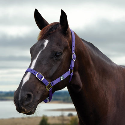 Dublin Everyday Breakaway Halter