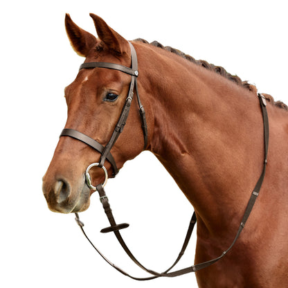 Dublin Flat Cavesson Bridle
