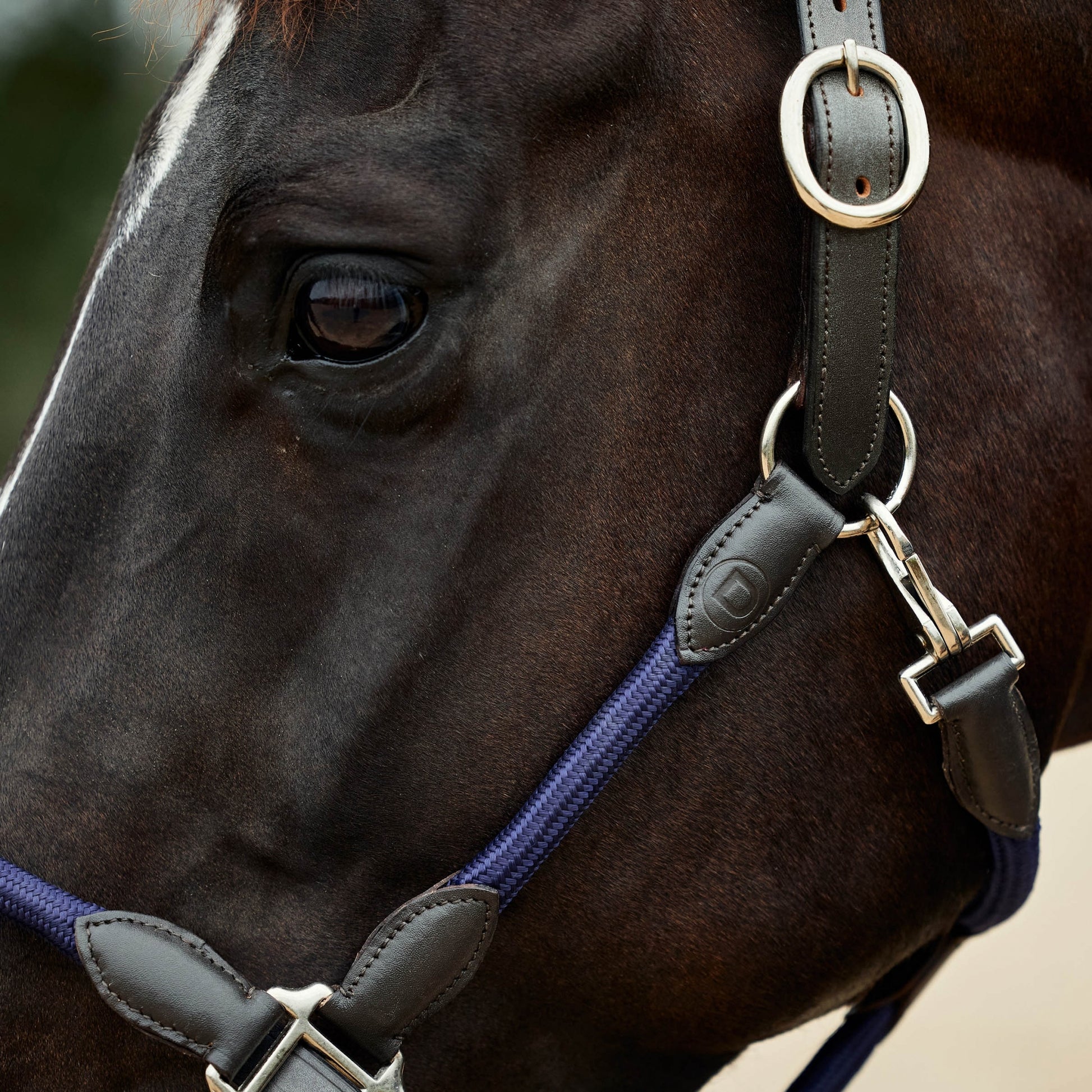 Dublin Leather Rope Headcollar