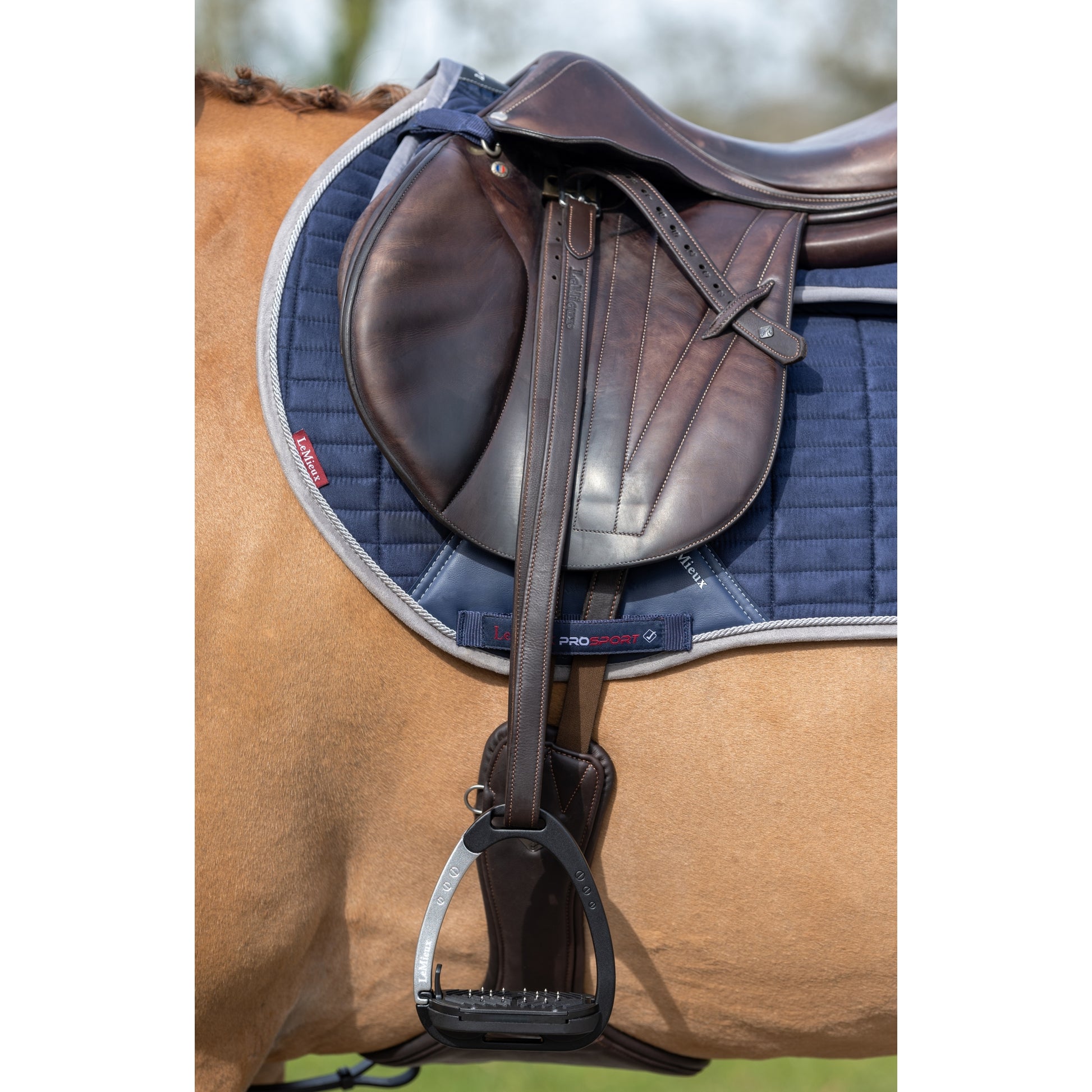Lemieux Vector Stirrup Leathers