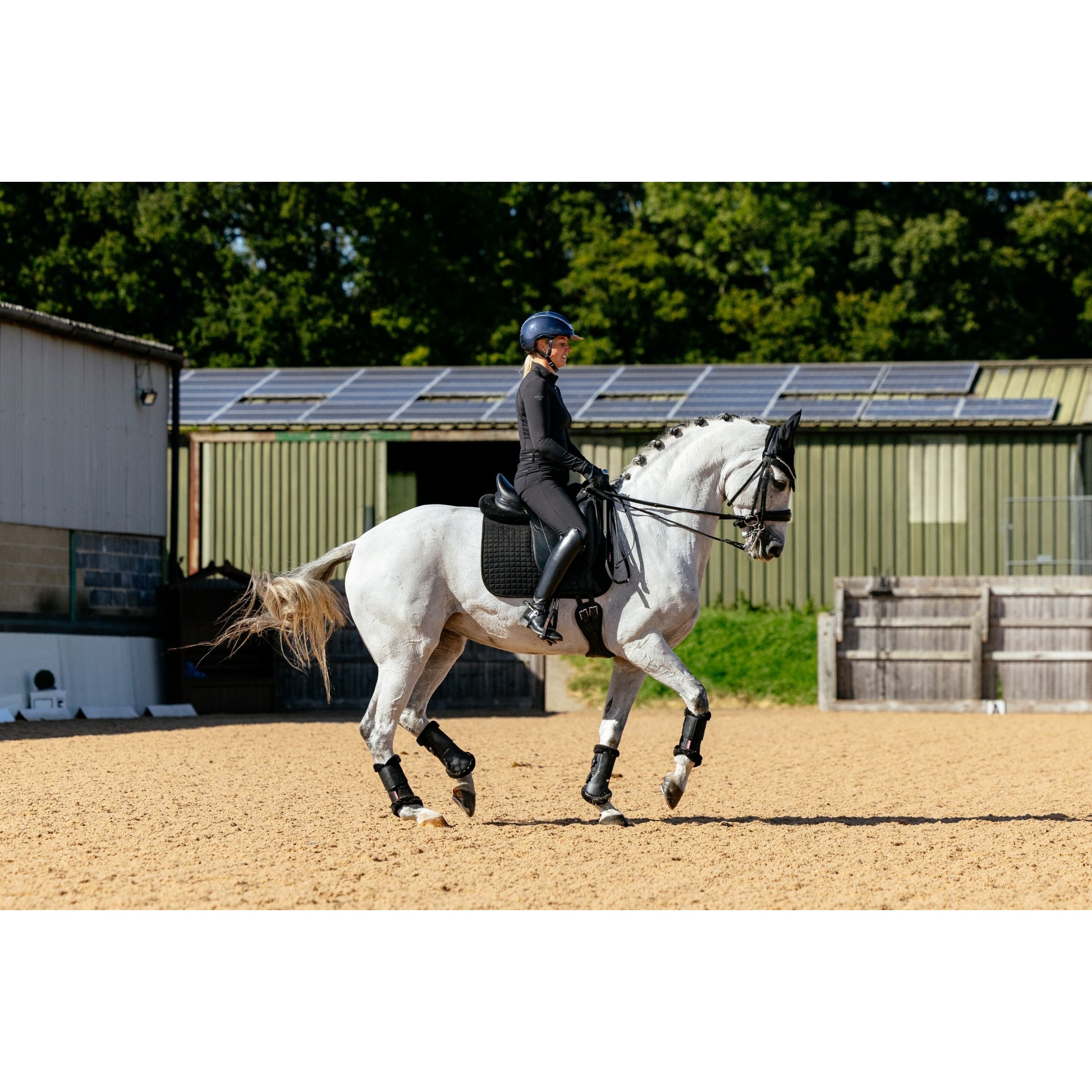 Lemieux Suede Dressage Square Pad