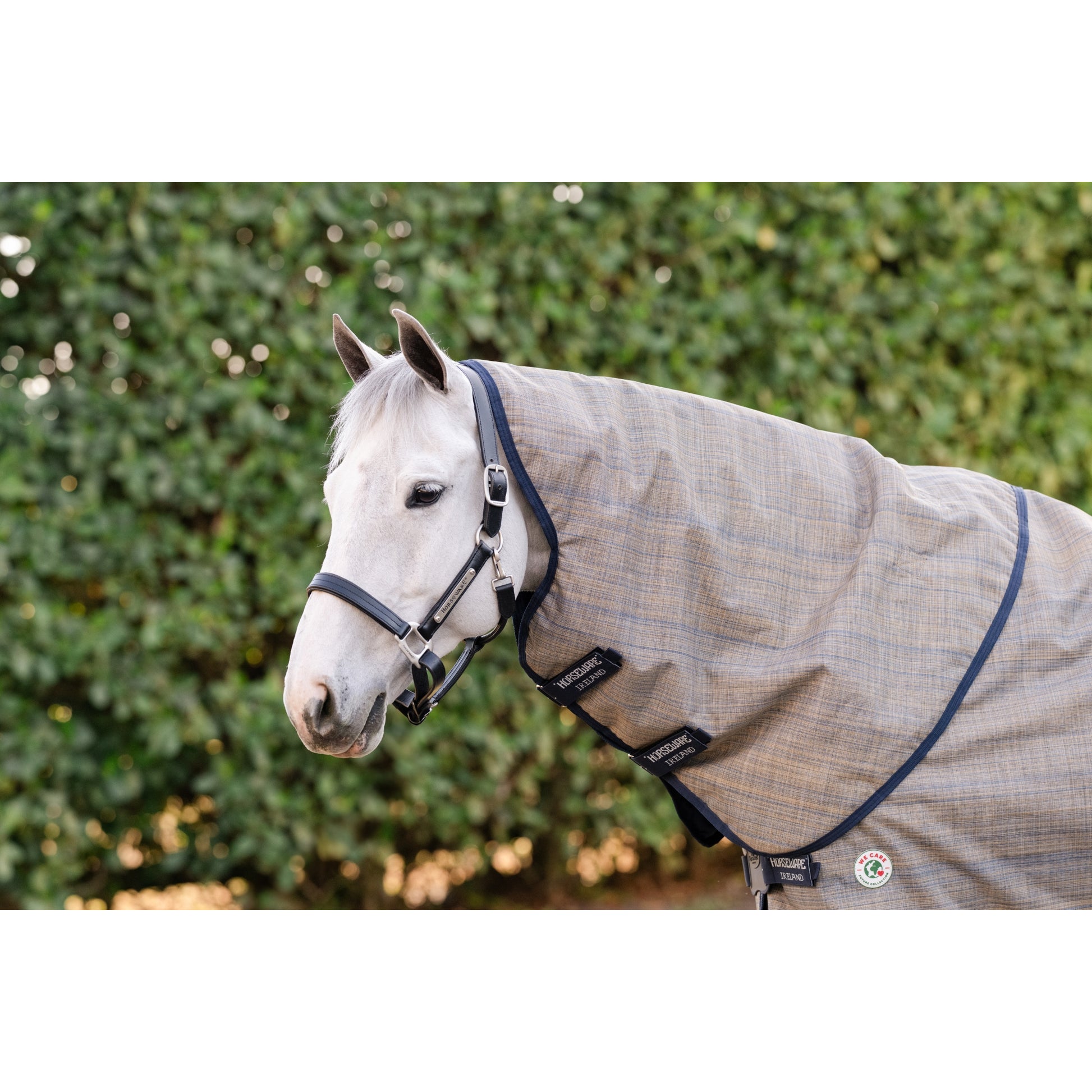 Amigo 900D Revive Plus Turnout 50g