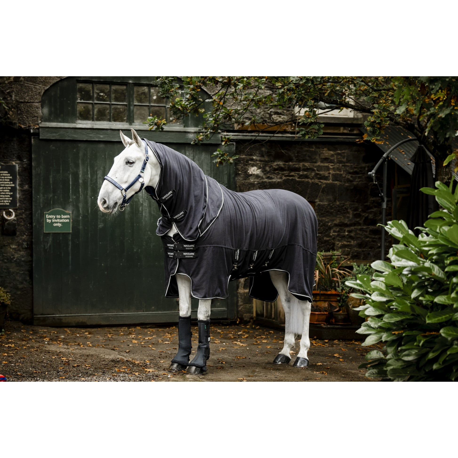 Horseware Show Ready Blanket