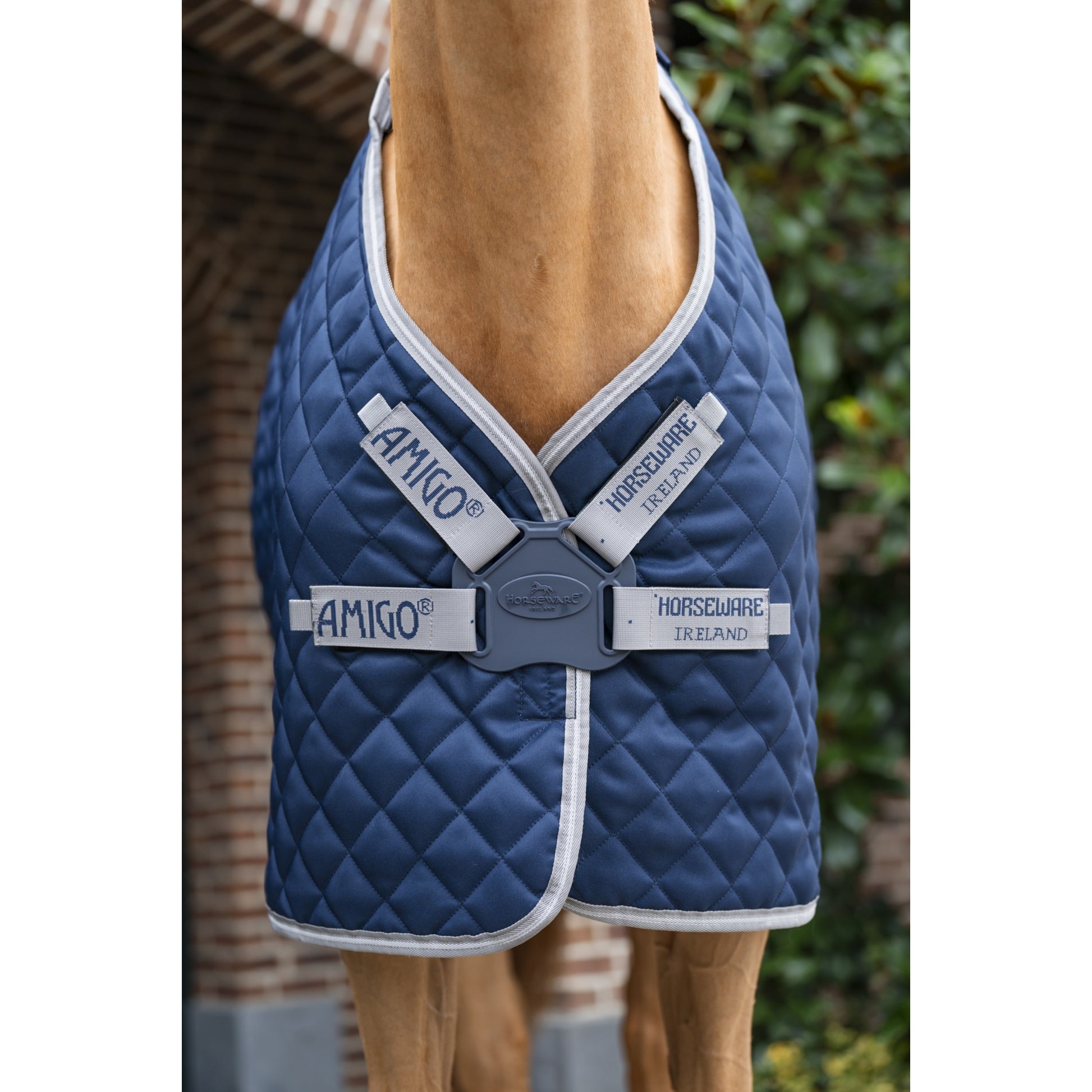 Amigo Quilted Stable Plus 200g
