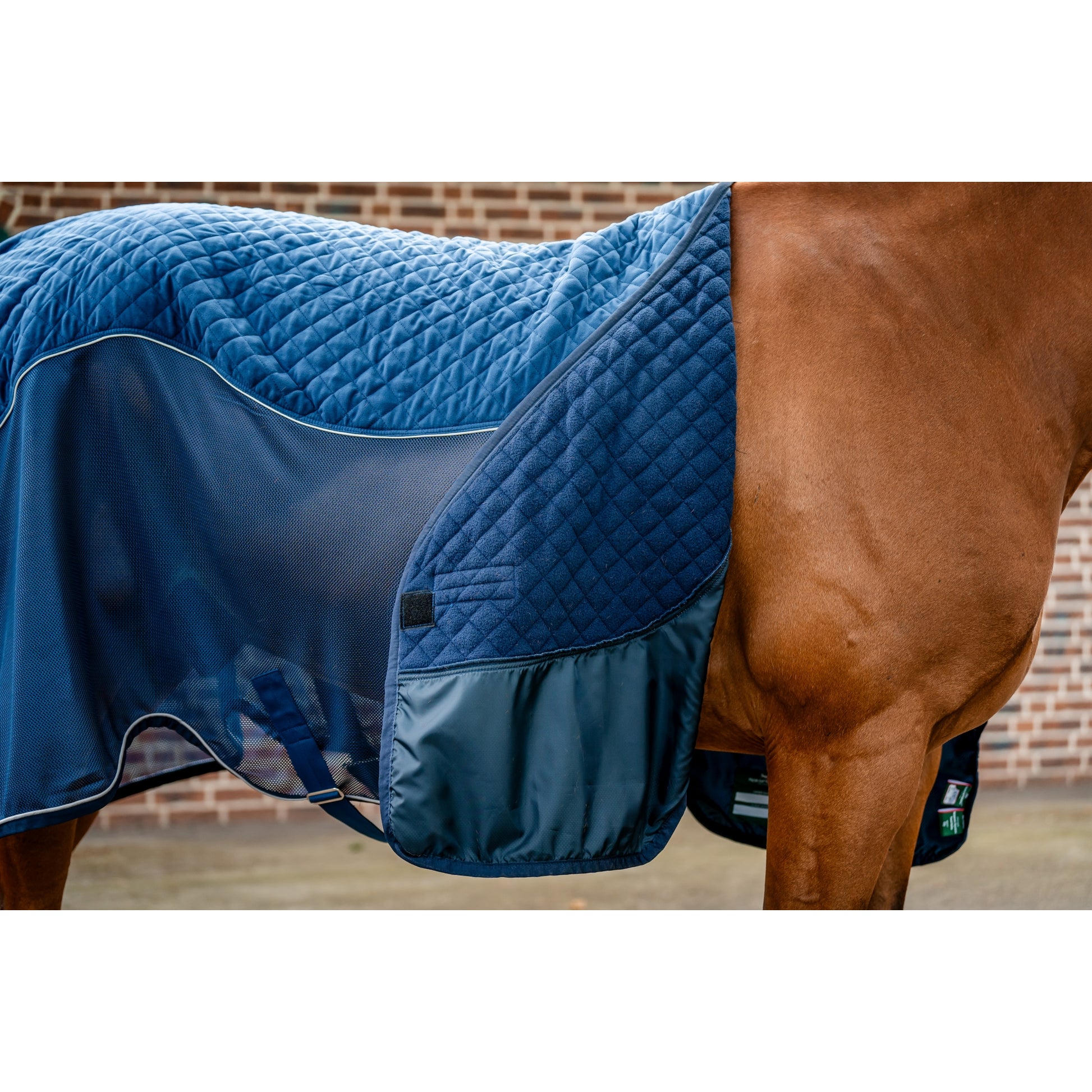 Horseware Signature Travel Cooler
