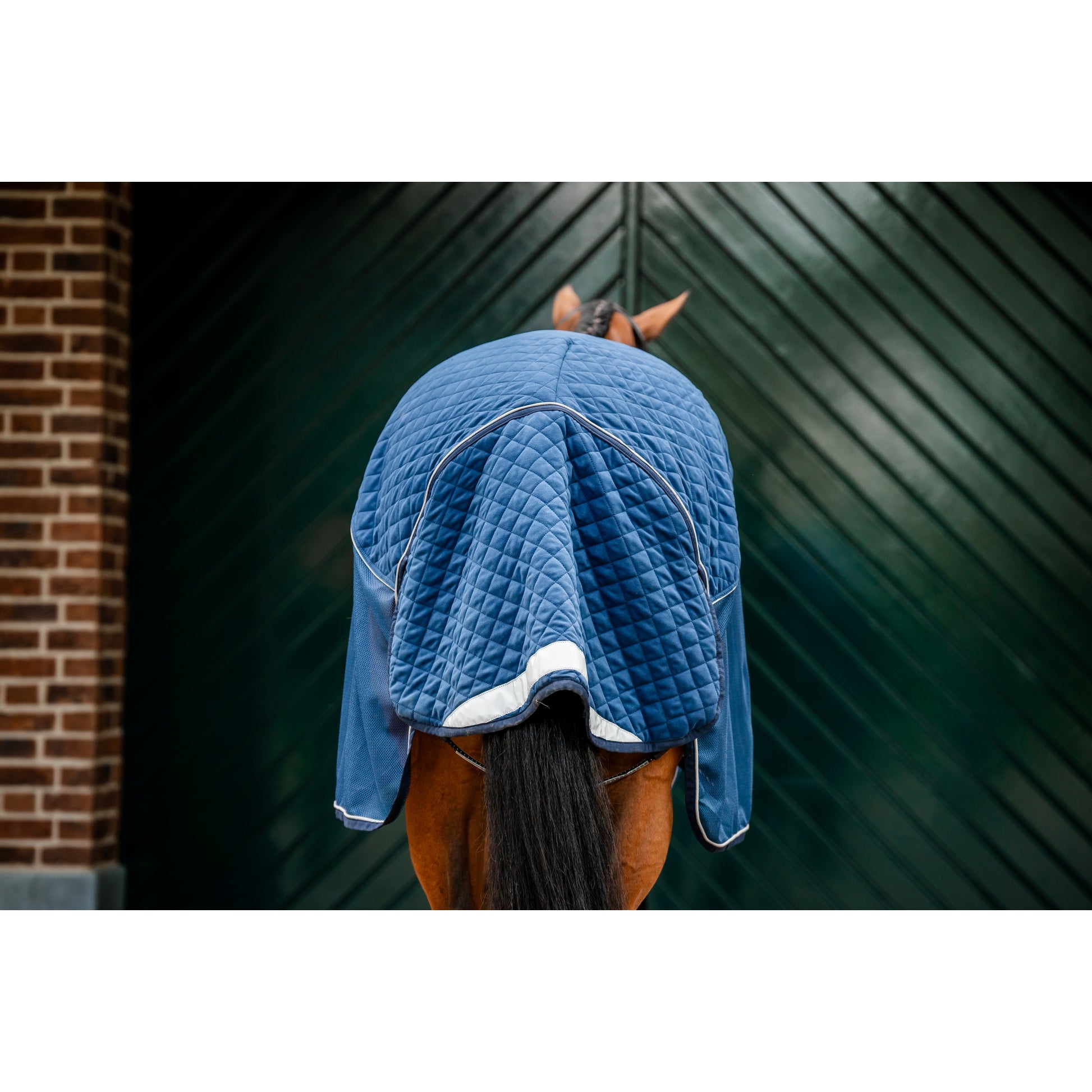Horseware Signature Travel Cooler