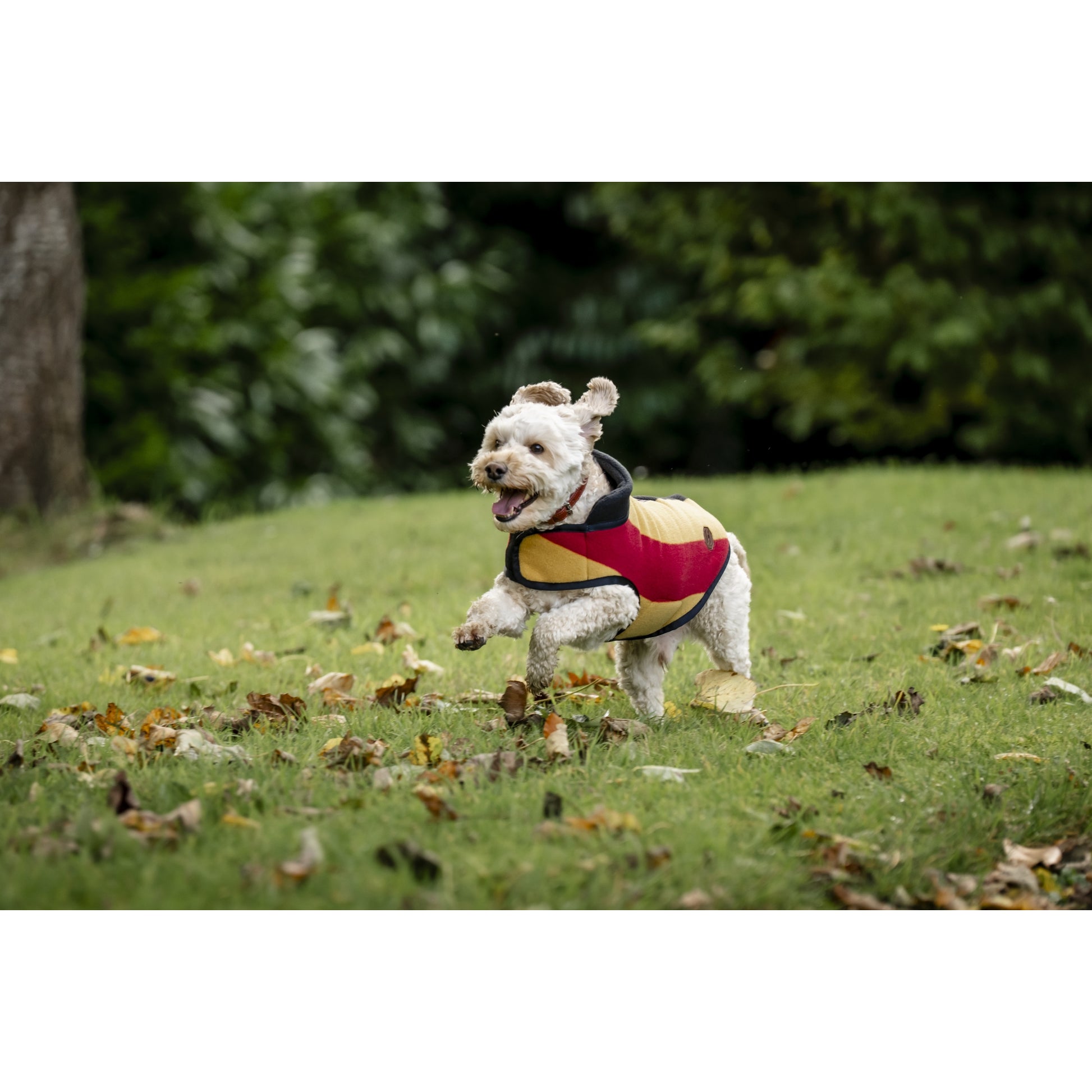 Horseware Newmarket Dog Fleece