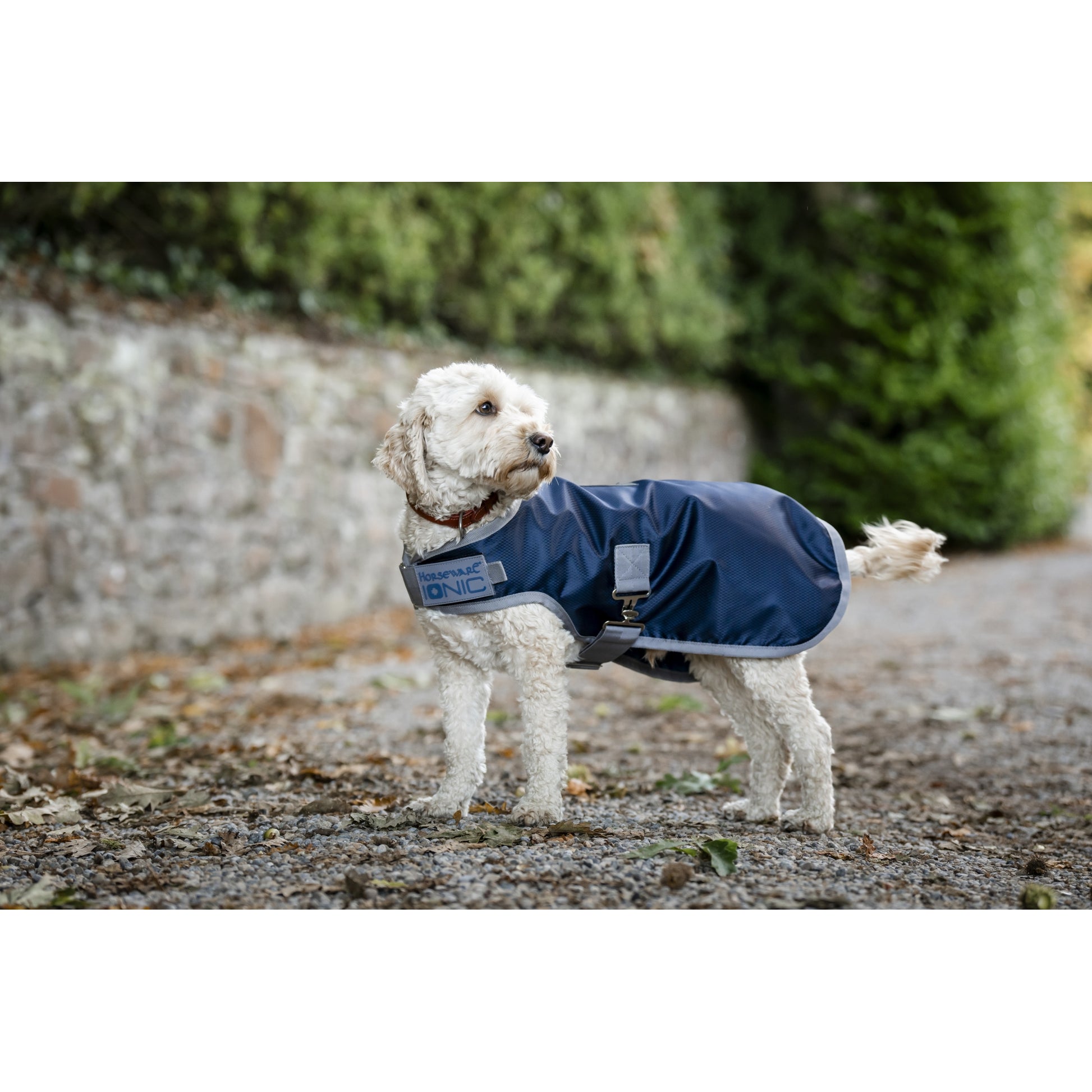Horseware Ionic Therapy Dog Coat 50g