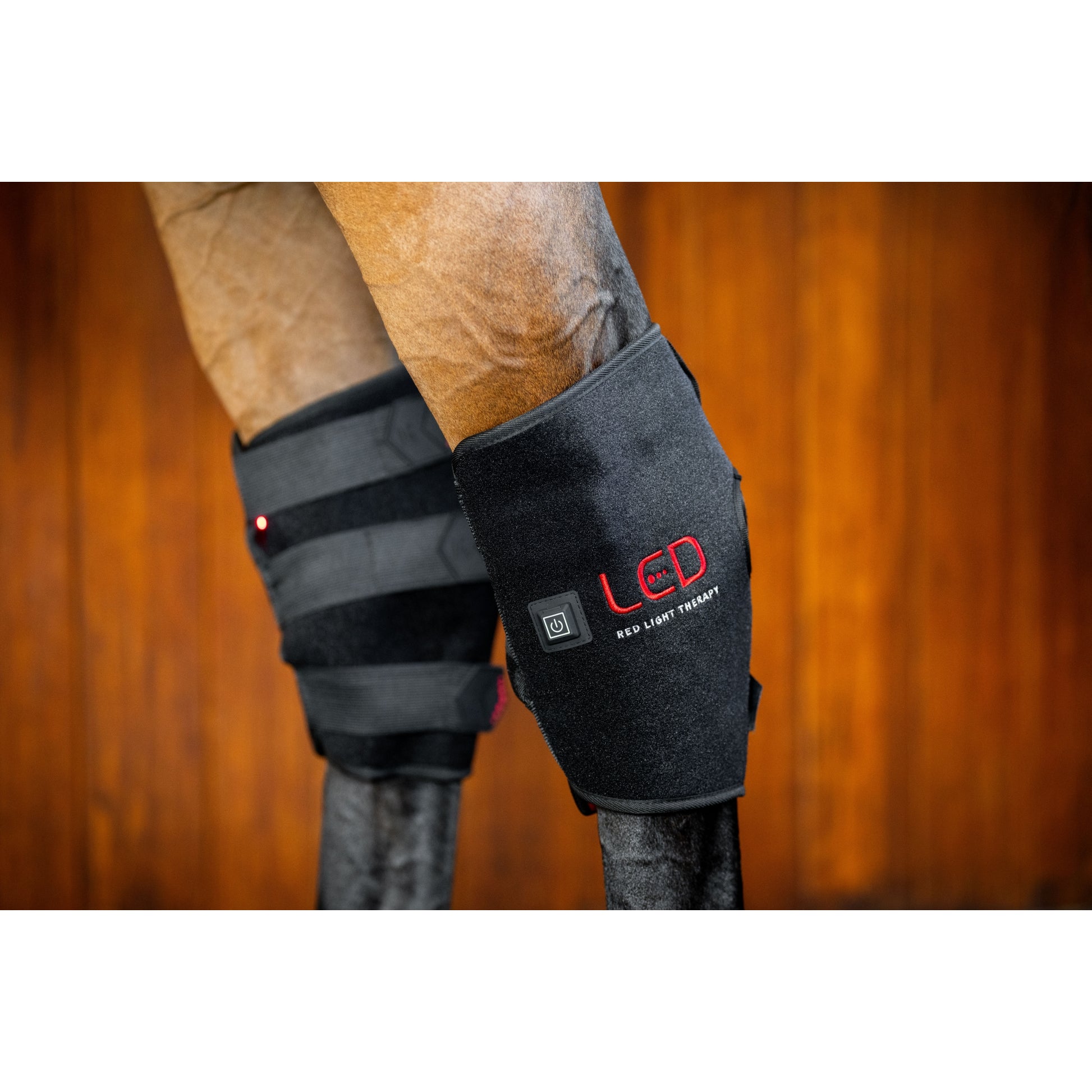 Horseware LED Red Light Therapy Hock Boot