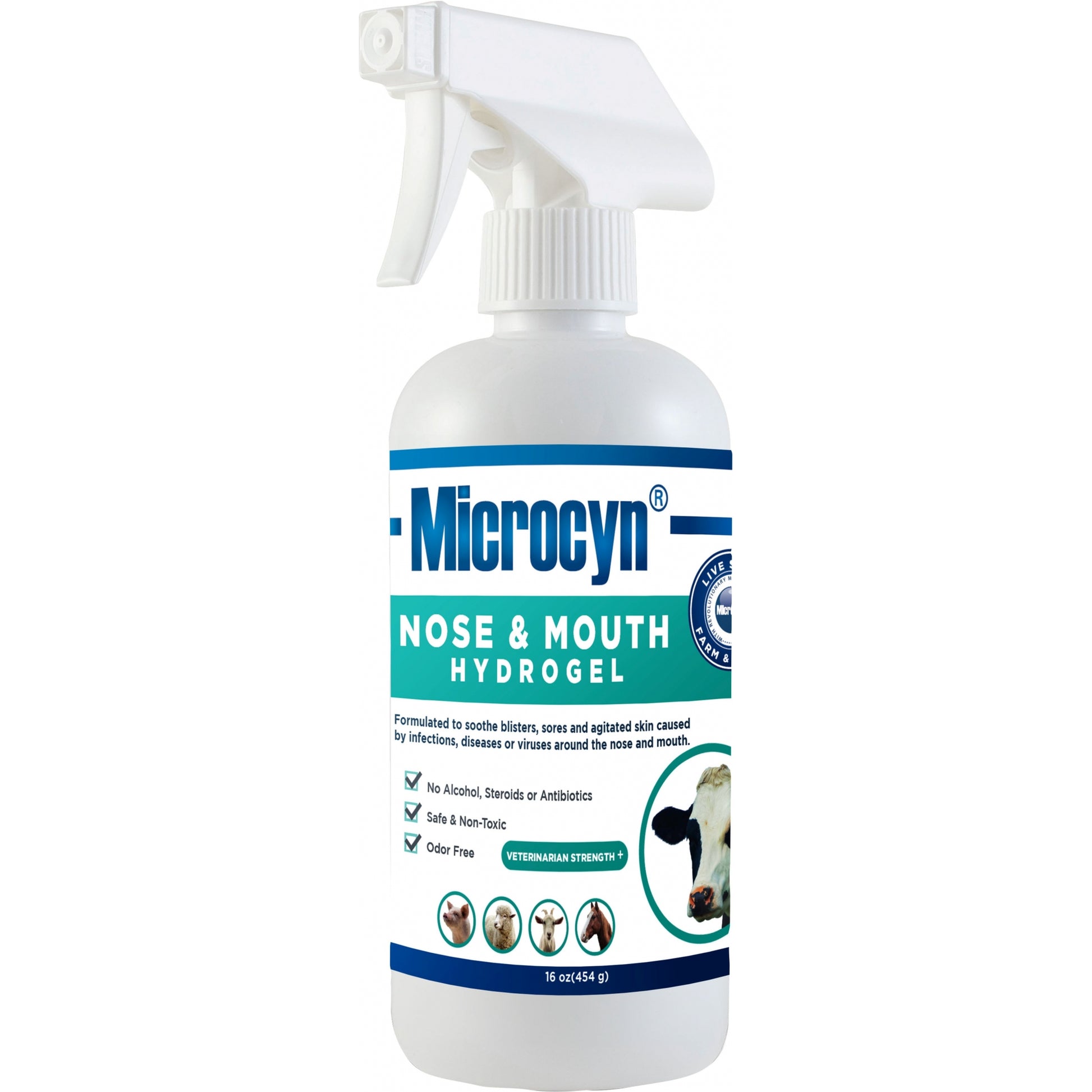 Microcyn Nose & Mouth Hydrogel