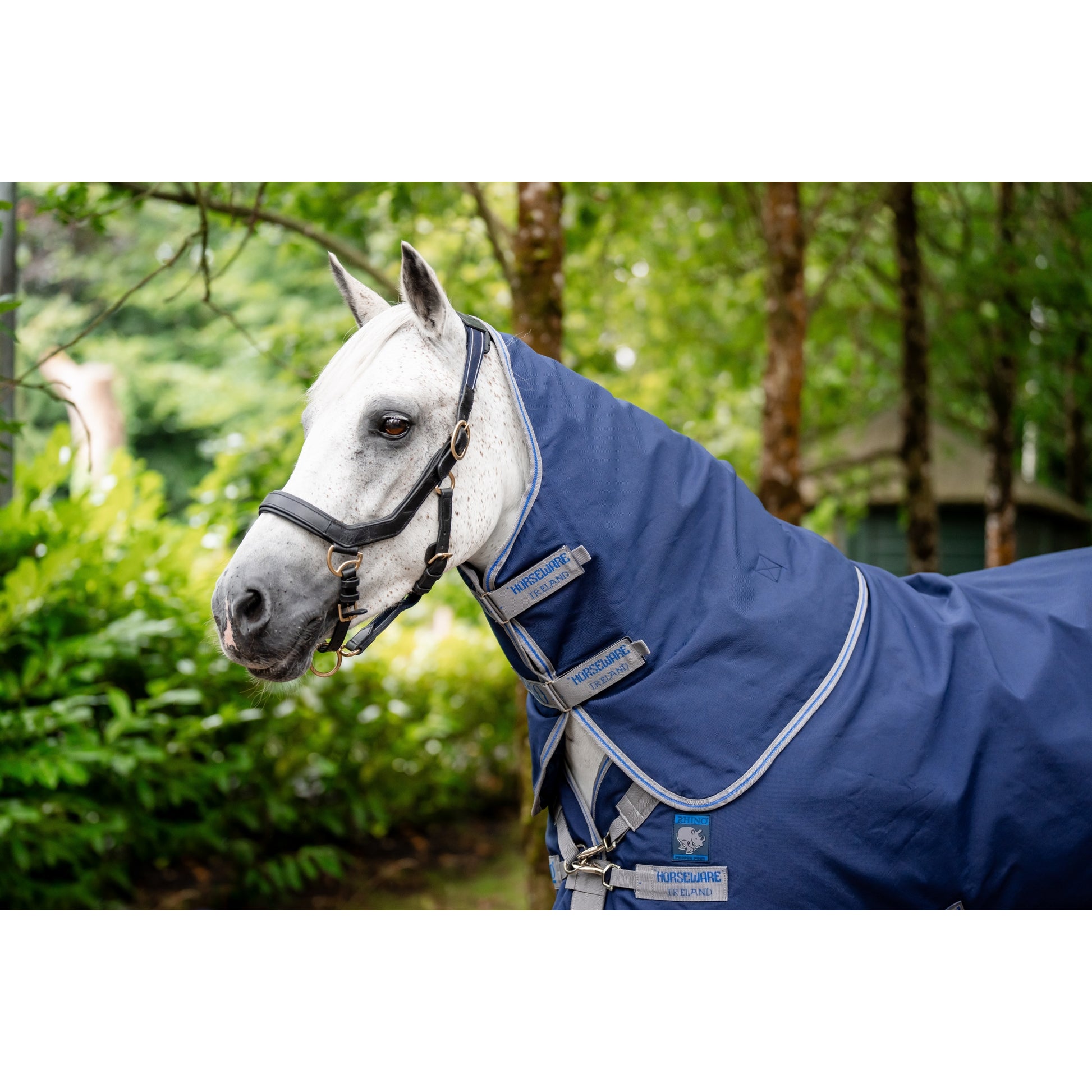 Rhino Plus Pony Turnout 100g