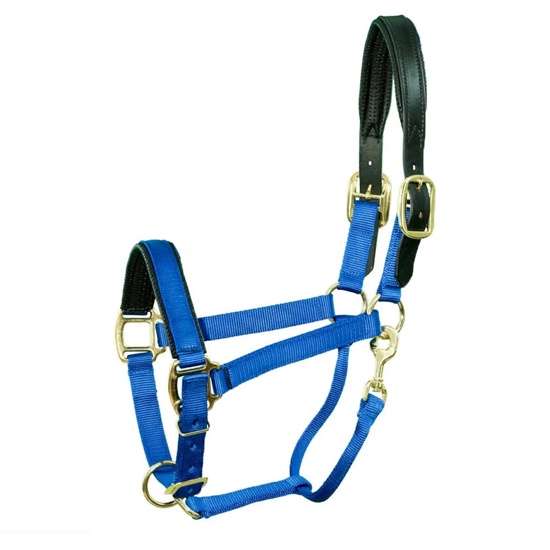 Intrepid Premium Nylon Breakaway Halter with Padded Crown/Nose